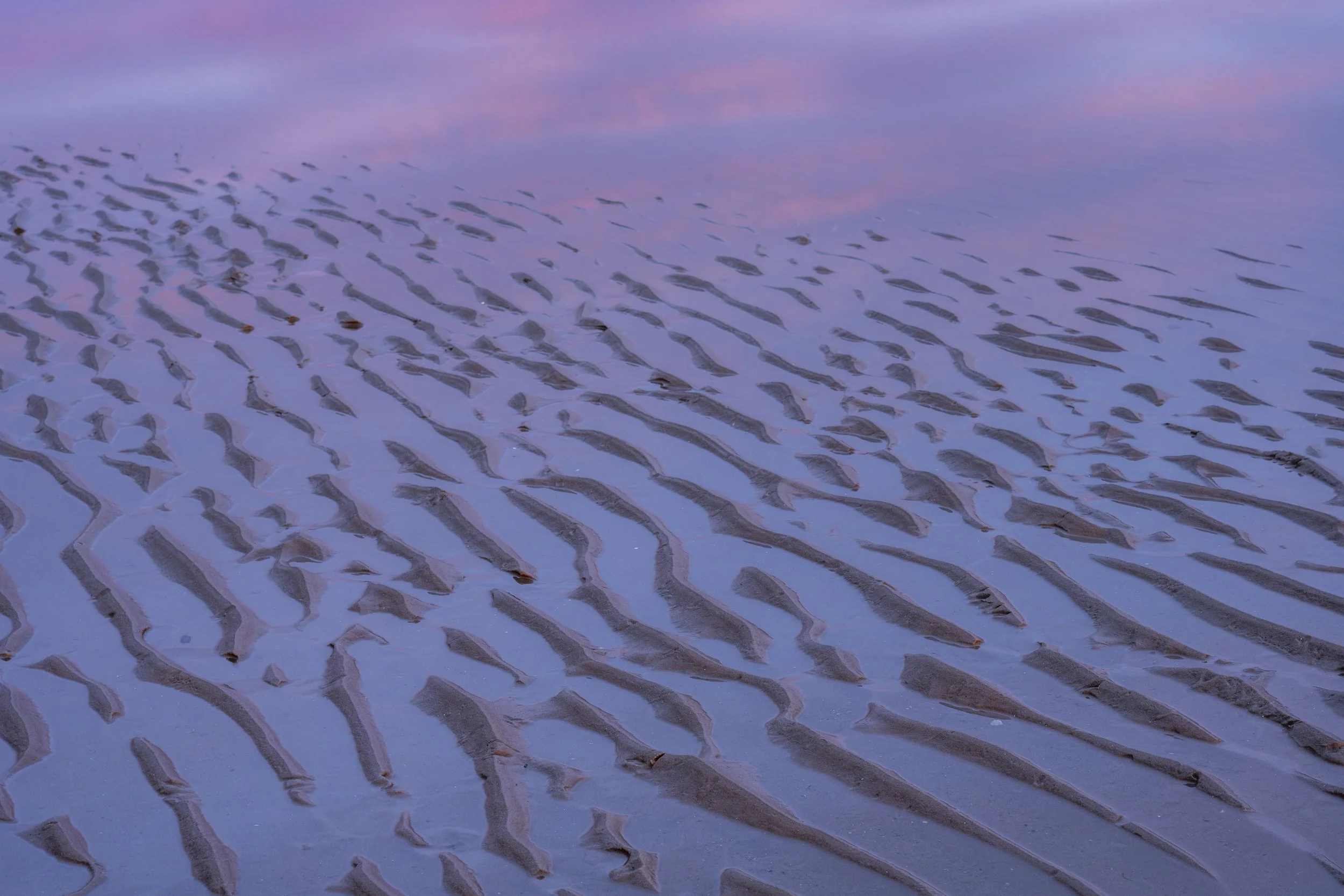 Findhorn Episode 7-28.jpg