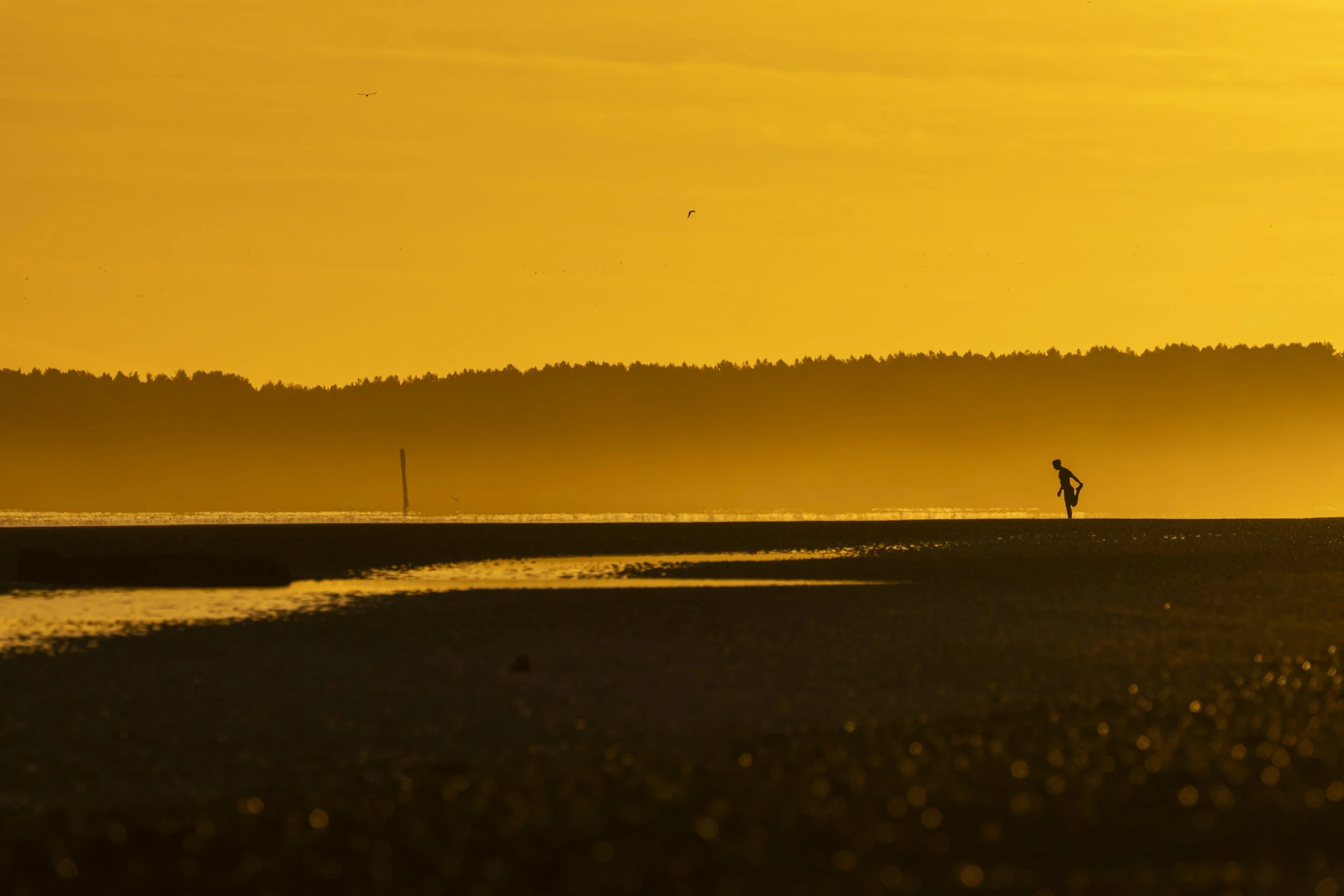 Findhorn Episode 7-70.jpg