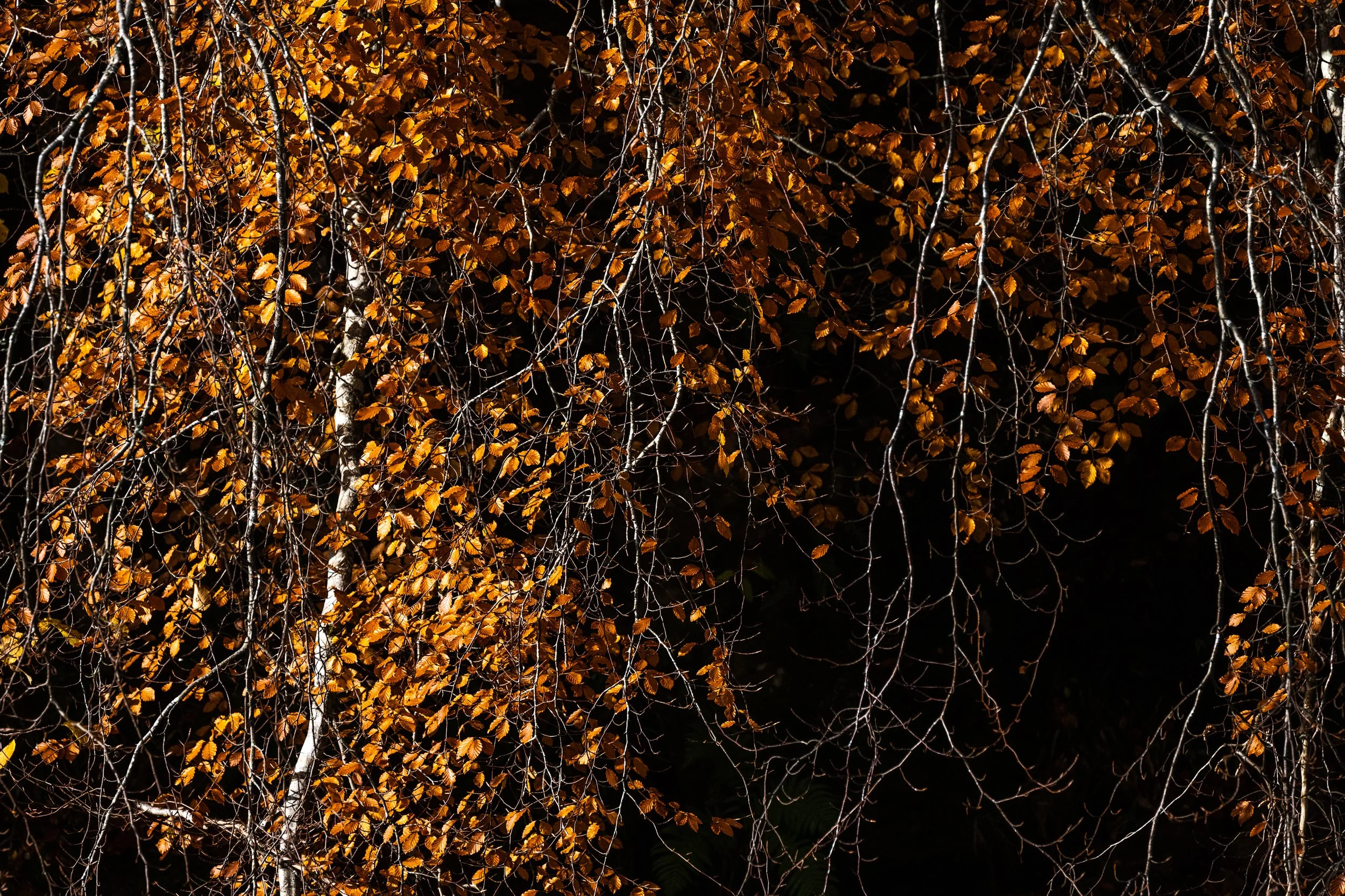 November Workshop-22.jpg