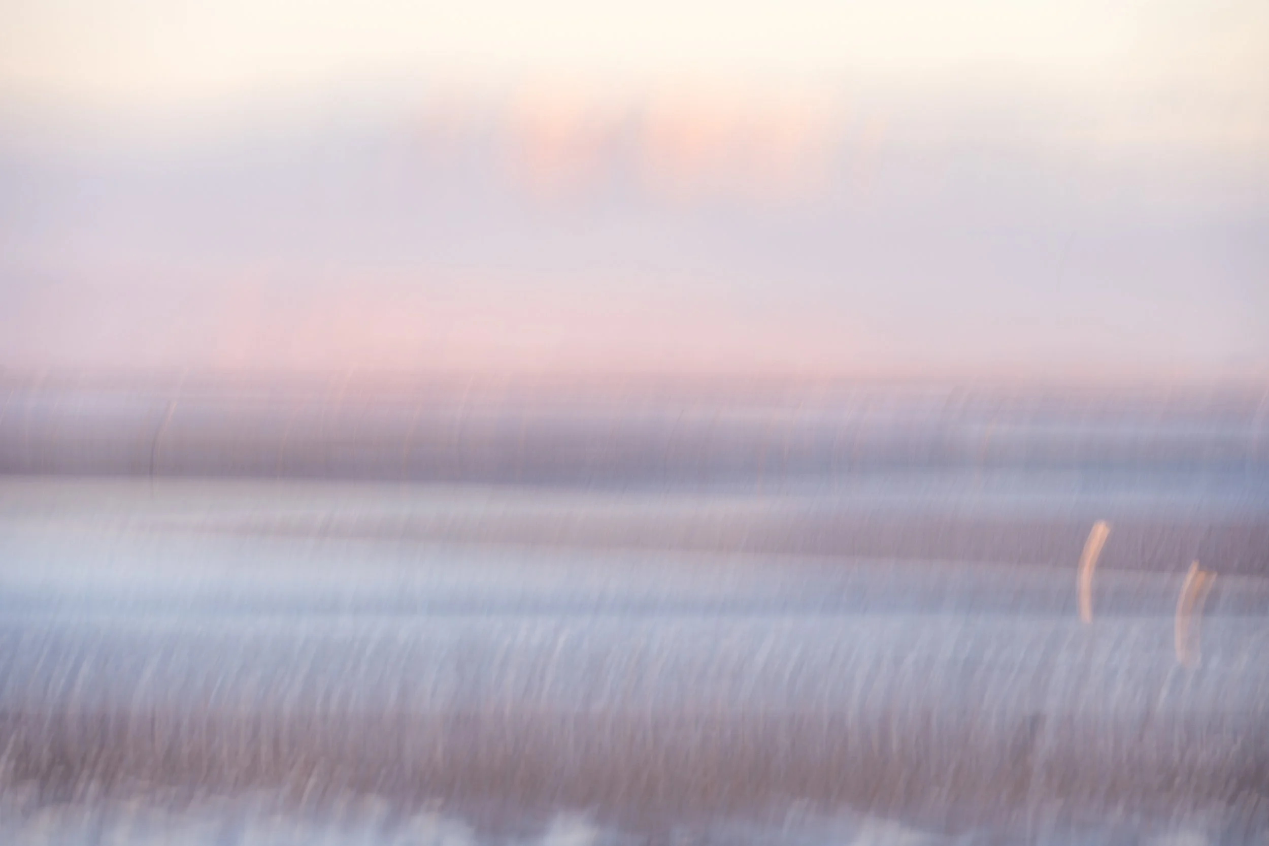 Sunrise Findhorn-16.jpg