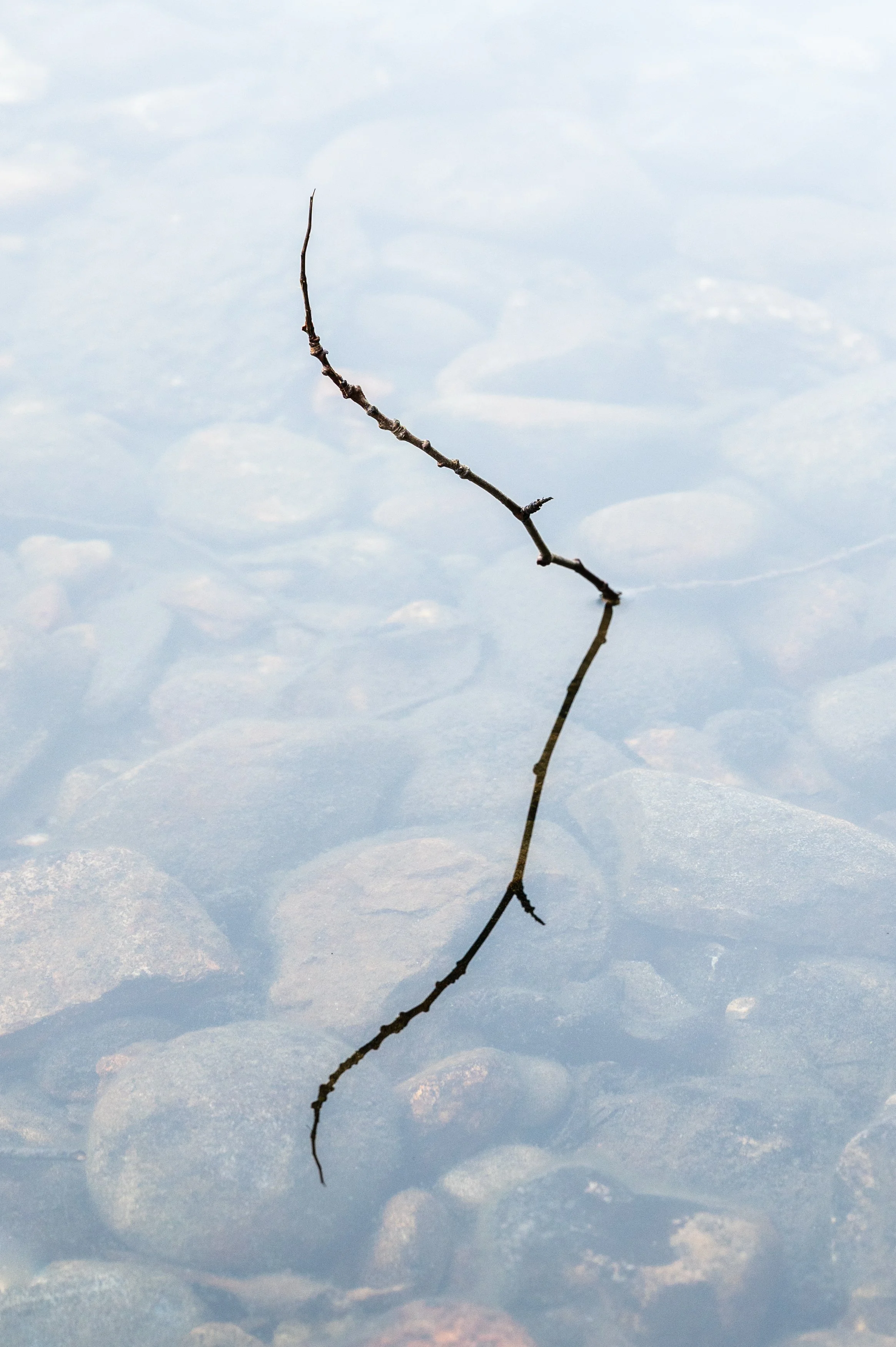 water challenge-2.jpg