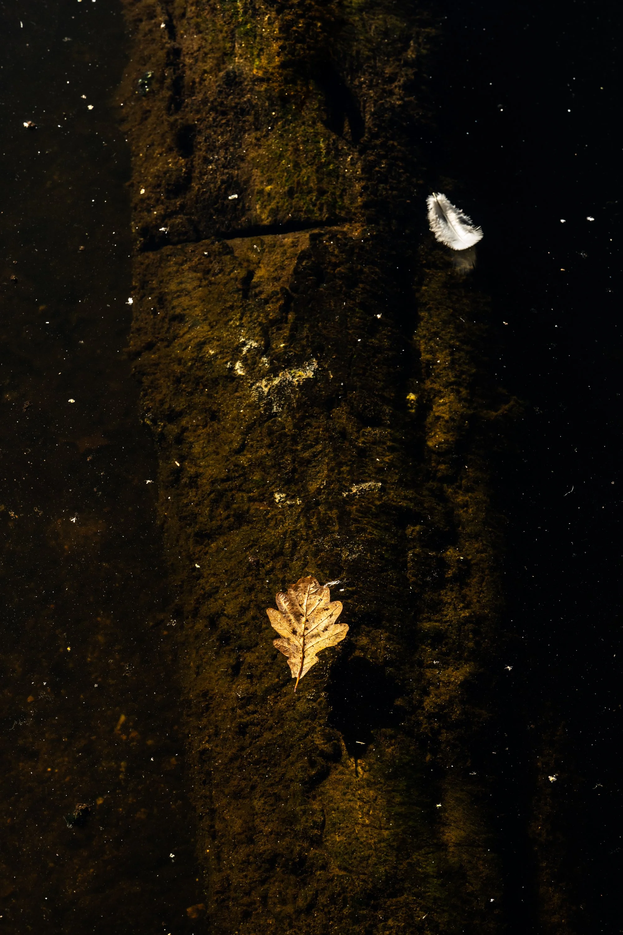 Sanquhar Light-17.jpg