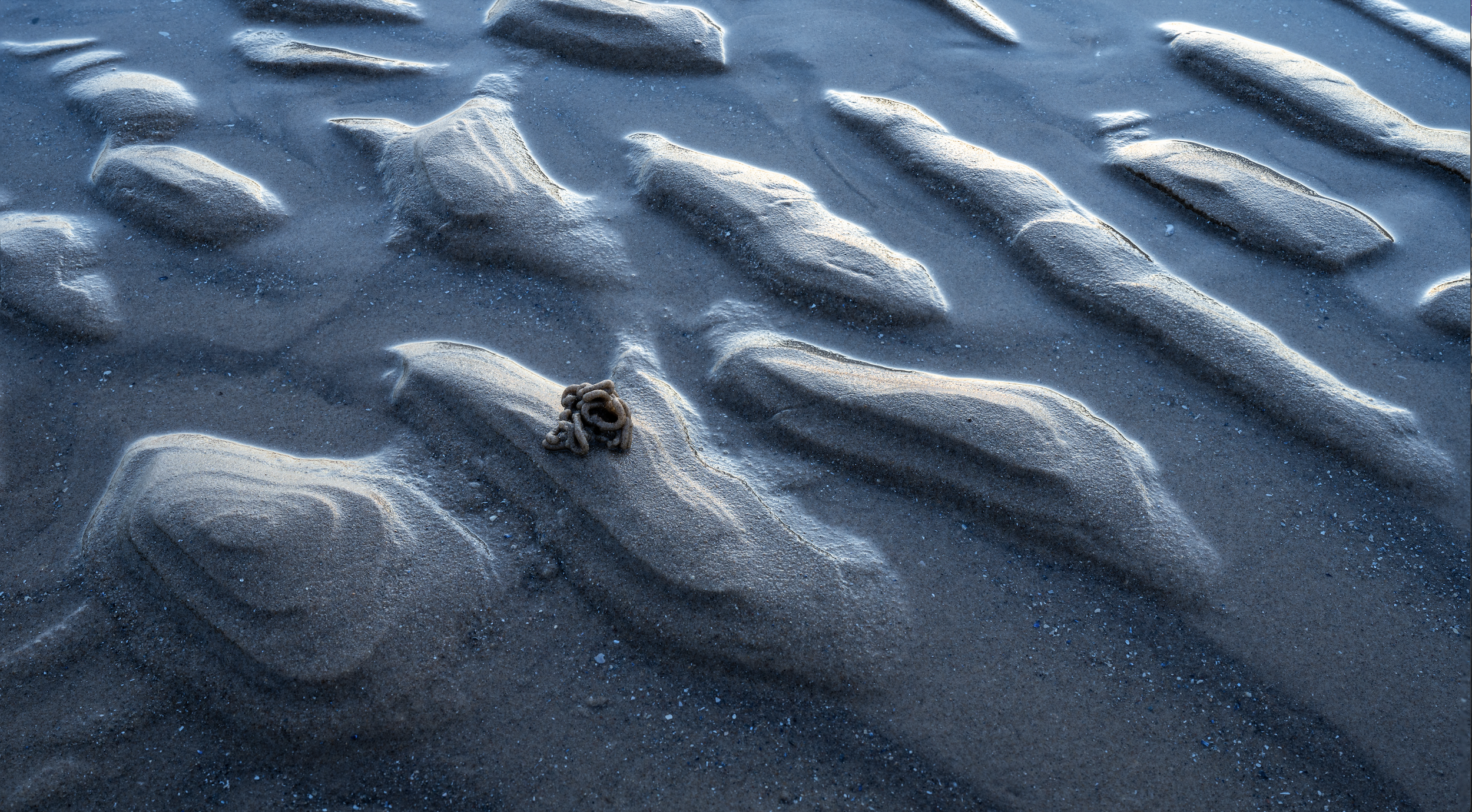 Screenshot 2026-01-27 at 16.04.17.png