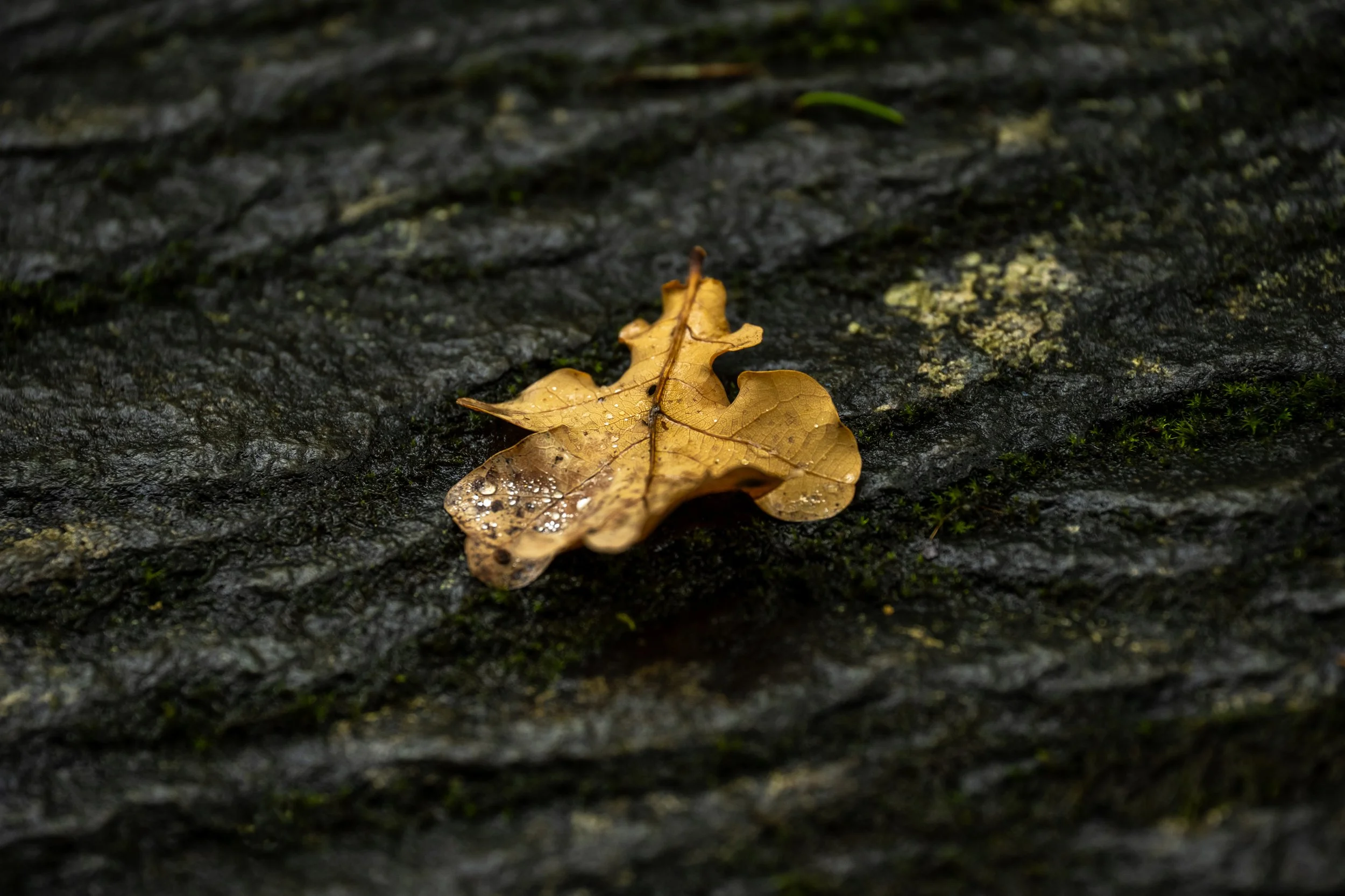 Heritage Images-12.jpg