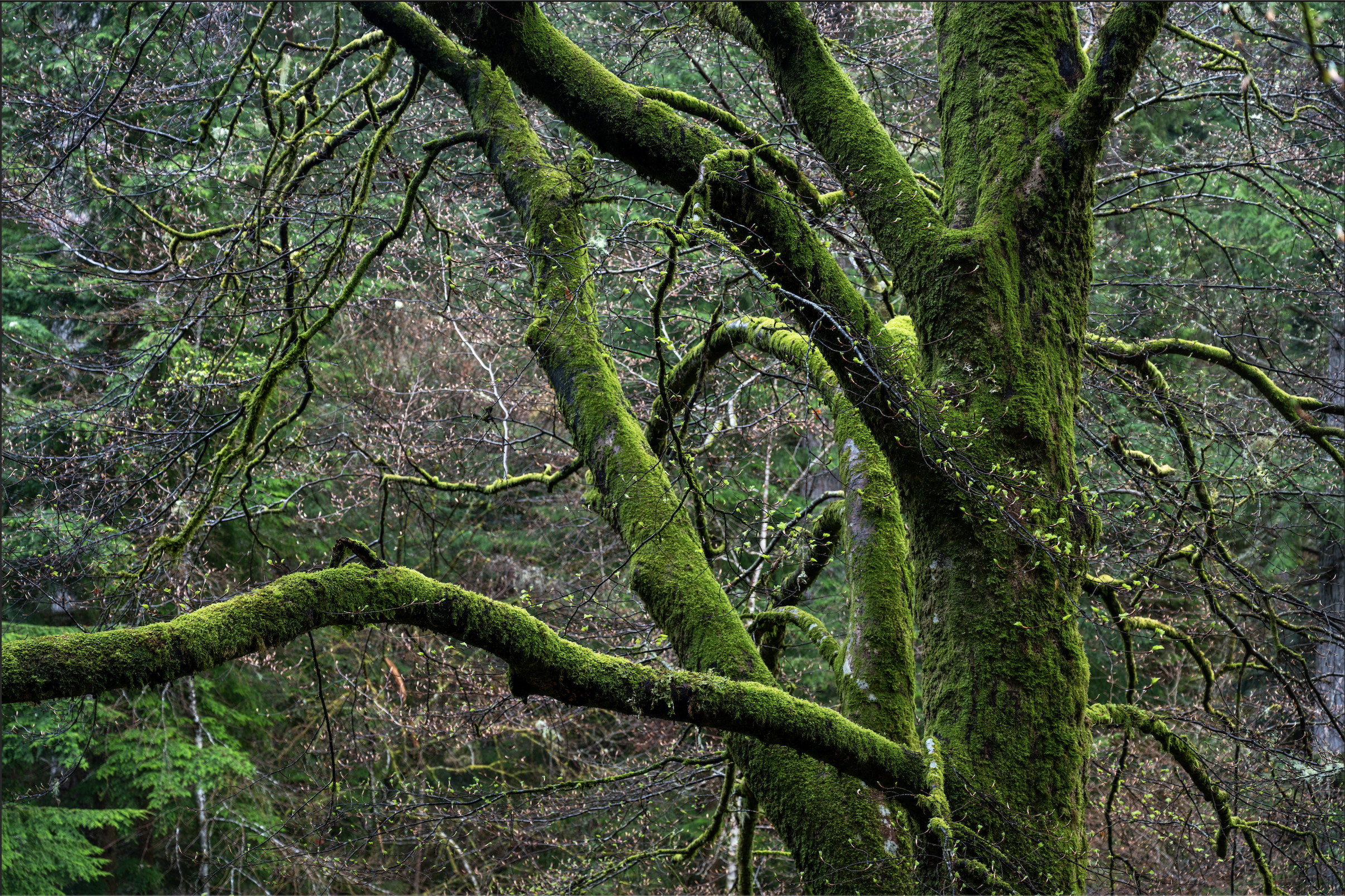 Screenshot 2026-01-27 at 20.02.03.png