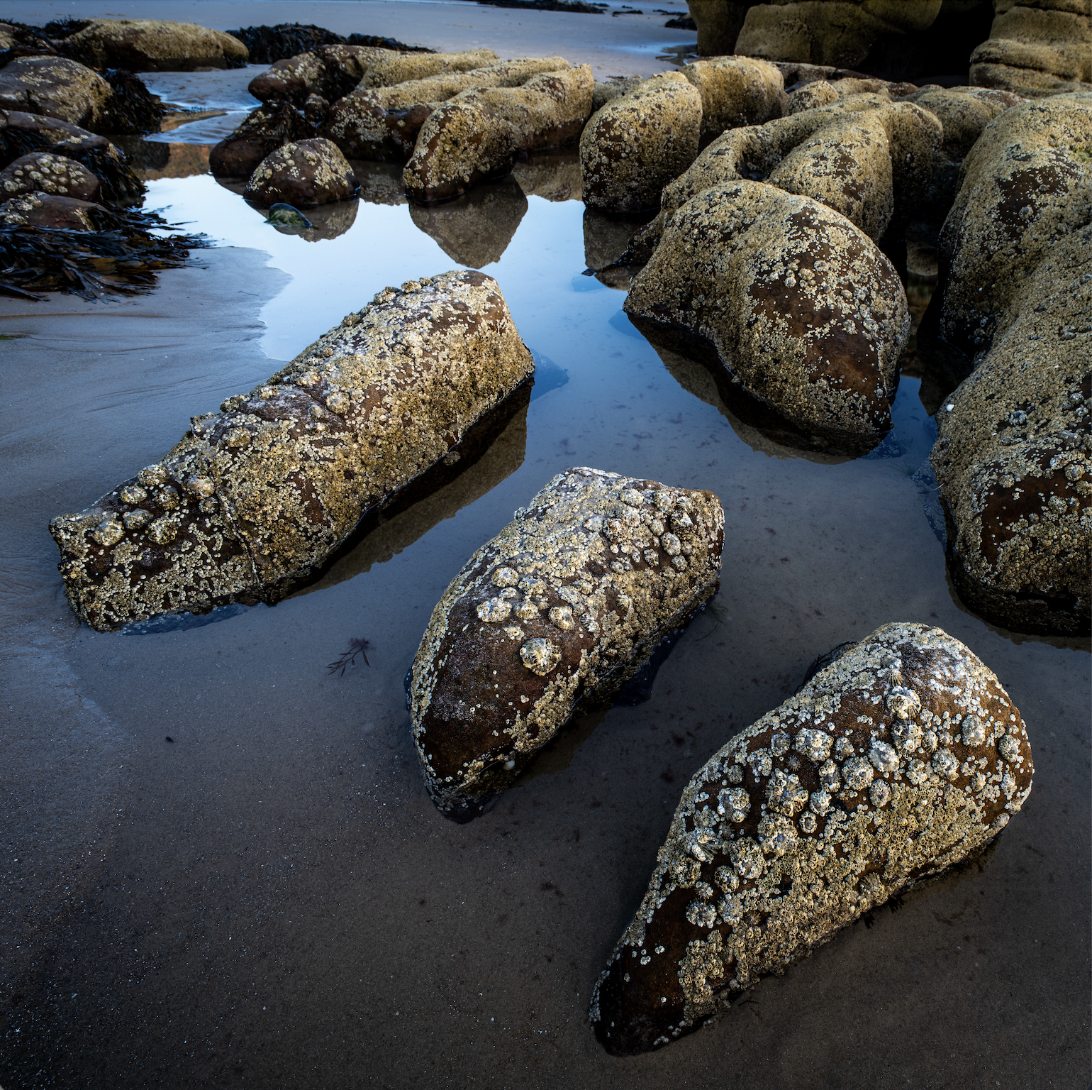 Screenshot 2026-01-27 at 13.41.42.png