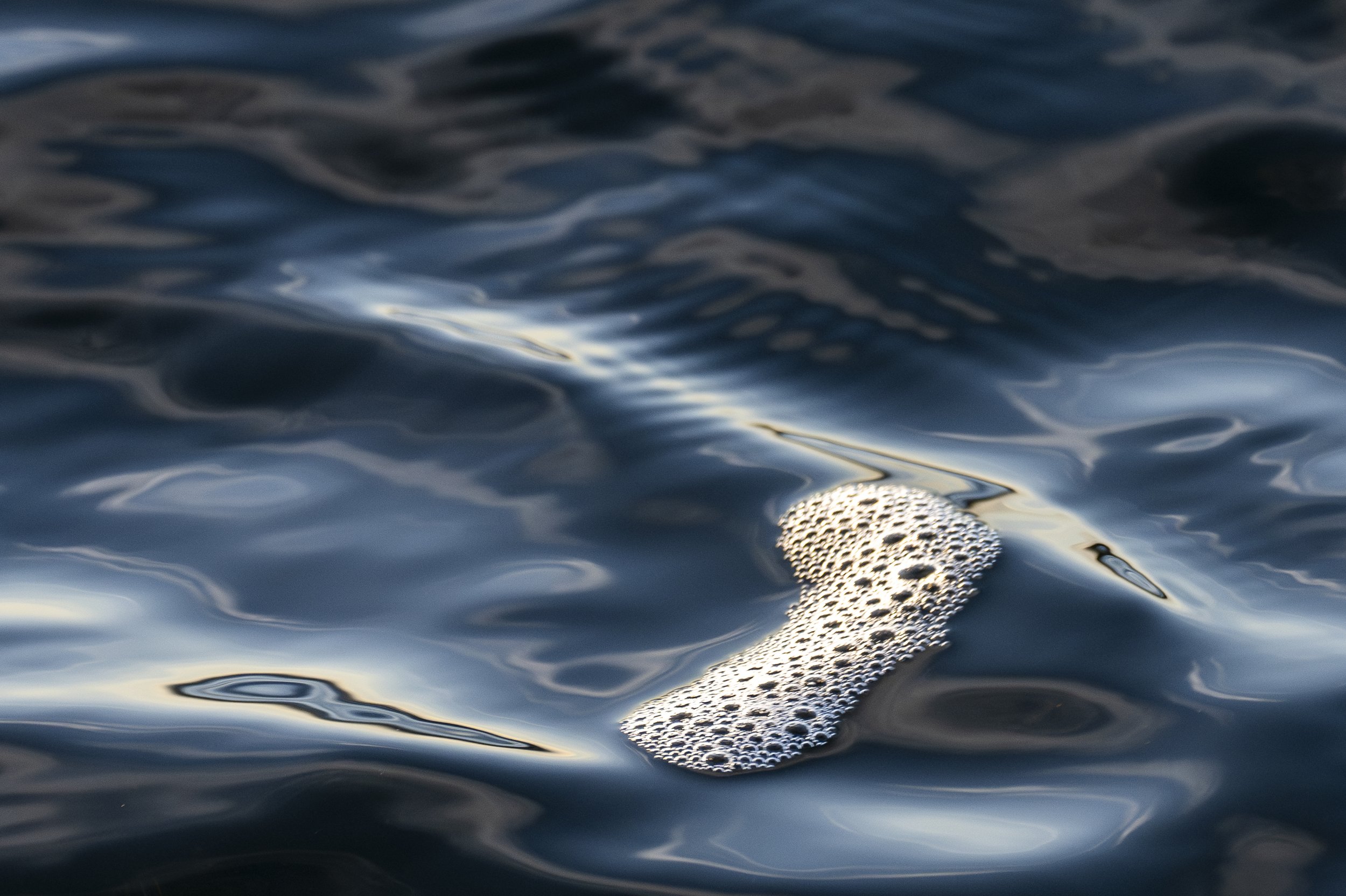 findhorn water-24.jpg