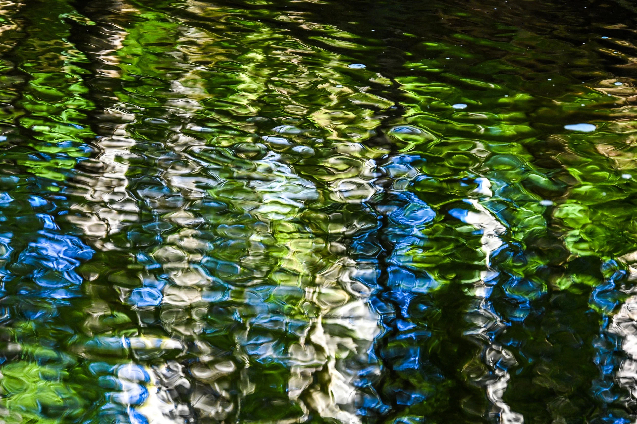 water challenge reflections-22.jpg