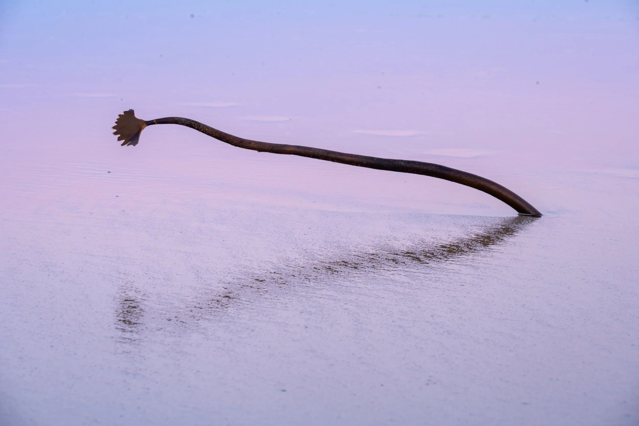 FRASER sunrise-27.jpg