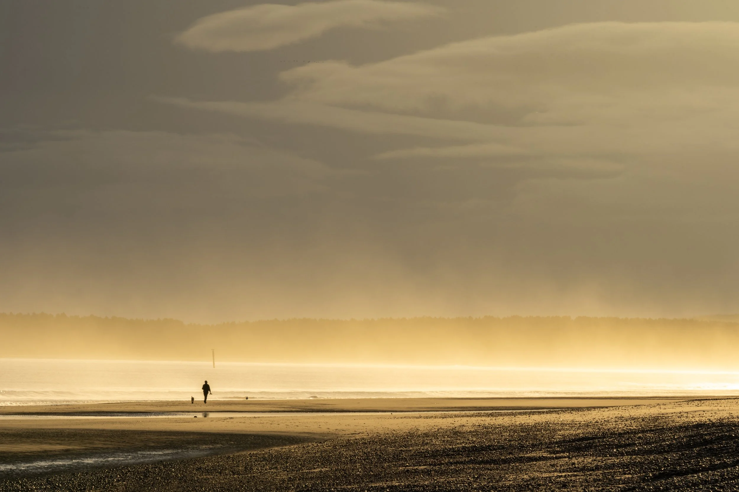 Early Morning Walk - Findhorn, Moray