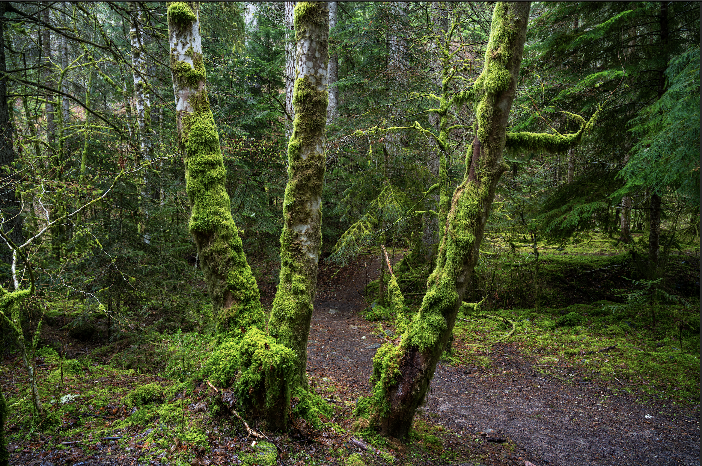 Screenshot 2026-01-27 at 20.03.25.png