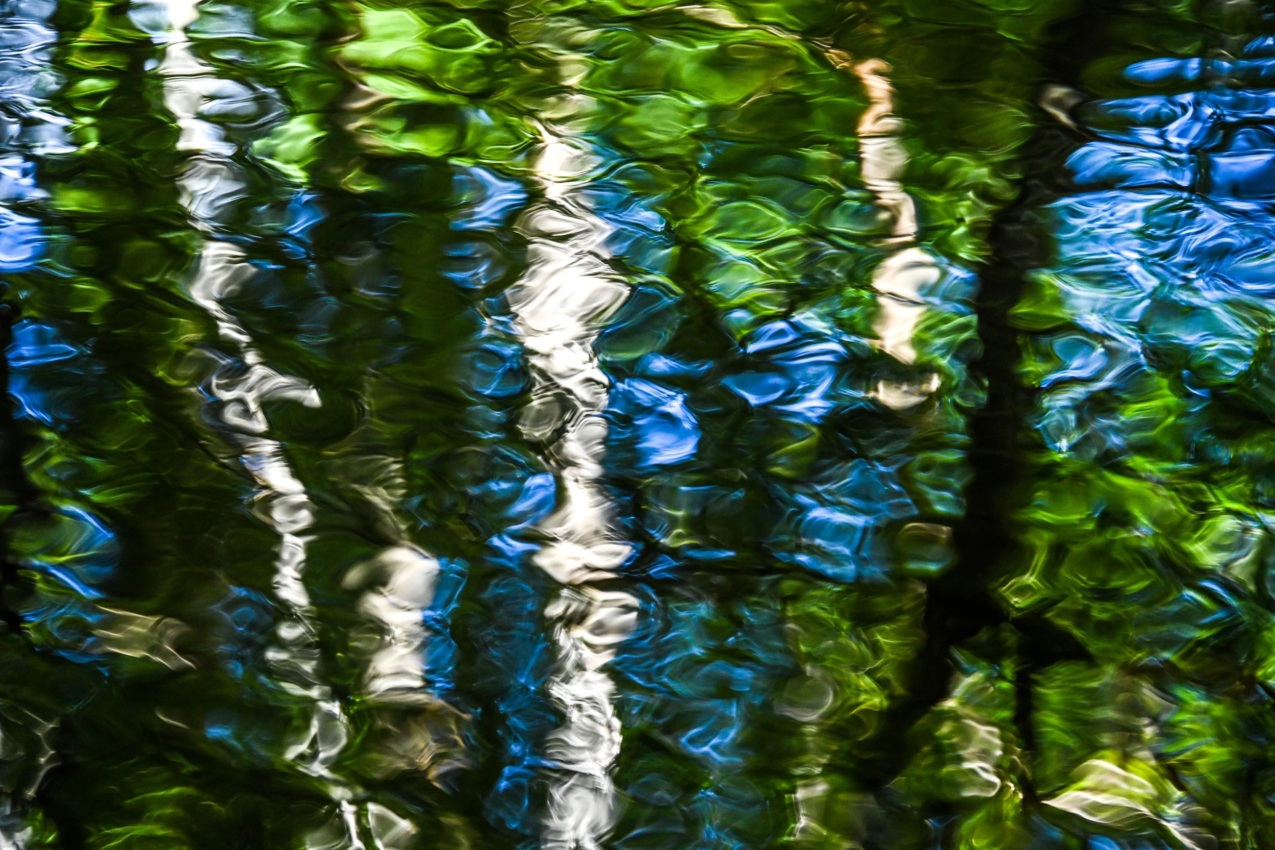 water challenge reflections-19.jpg