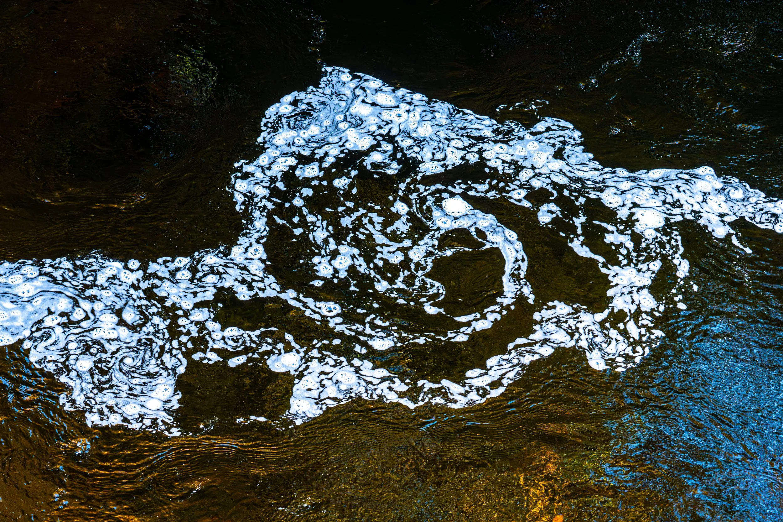 Randolphs River Findhorn-37.jpg