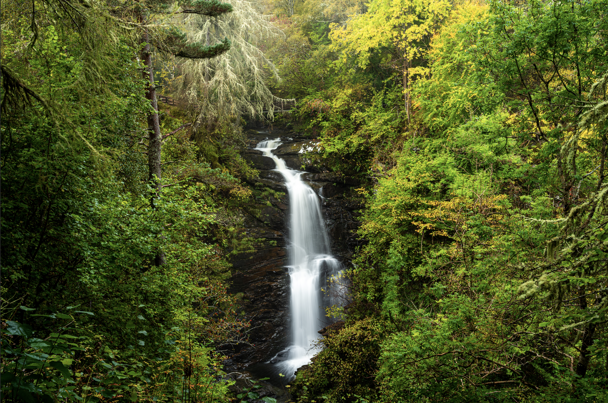 Screenshot 2026-01-27 at 14.02.18.png