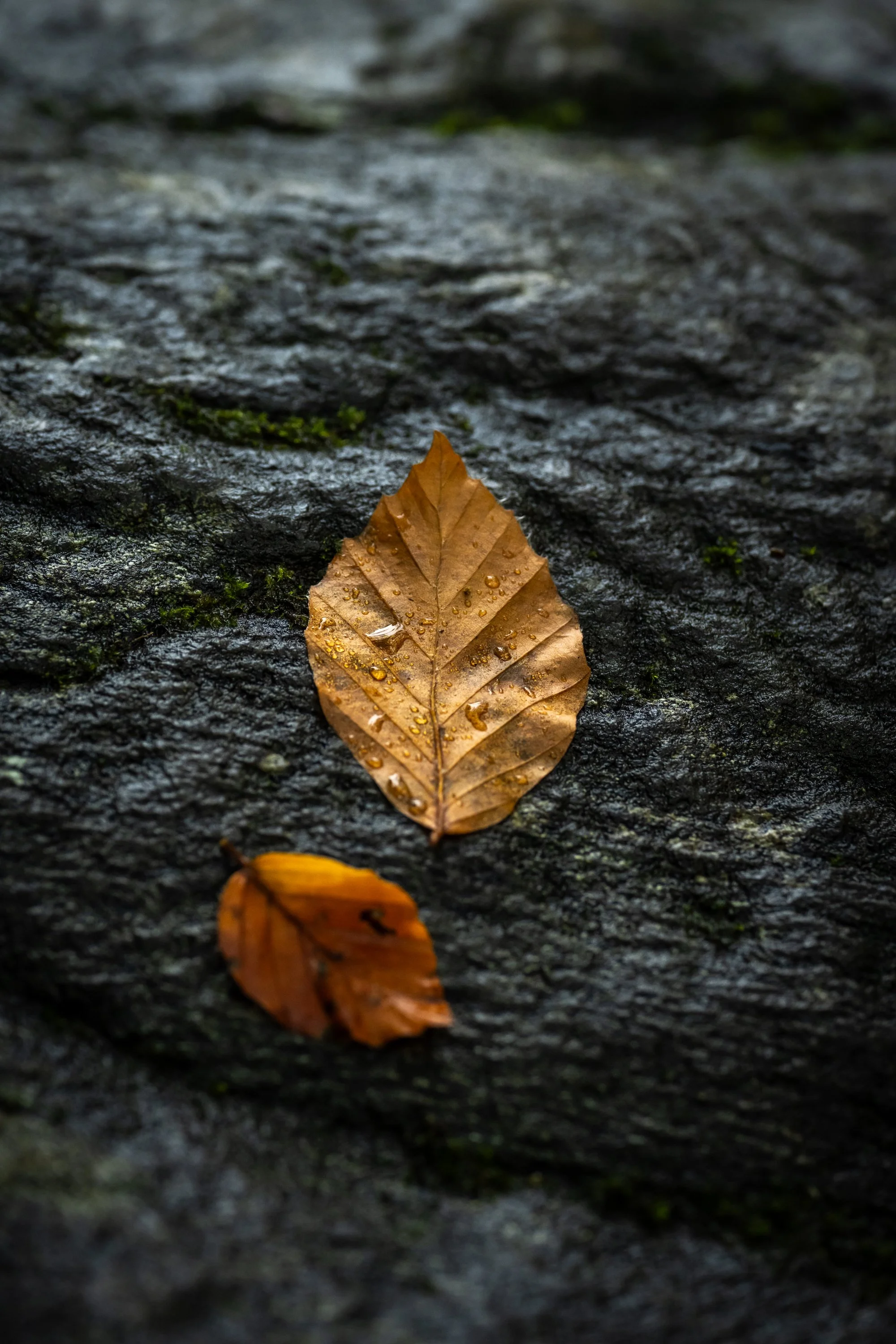 Heritage Images-16.jpg