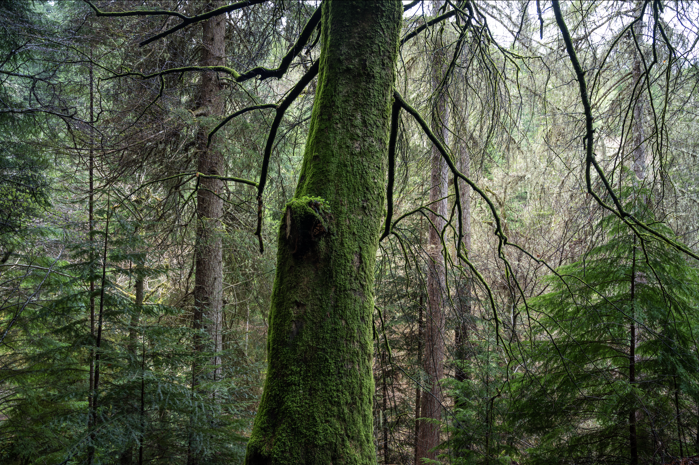 Screenshot 2026-01-27 at 20.03.01.png