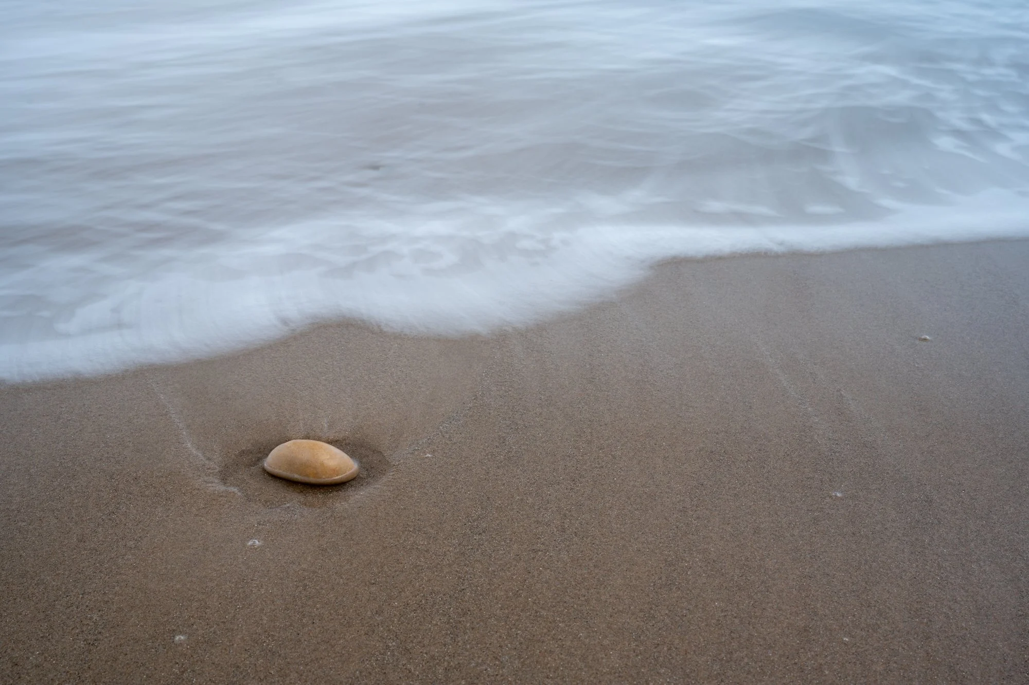 Autumn Abstract-5.jpg