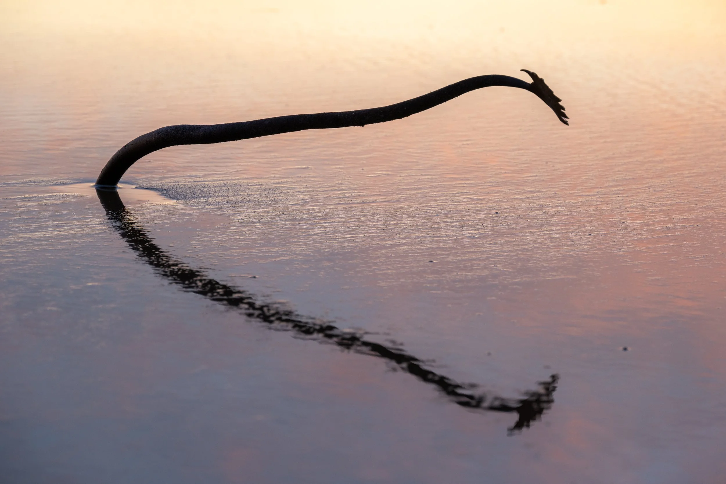 FRASER sunrise-20.jpg