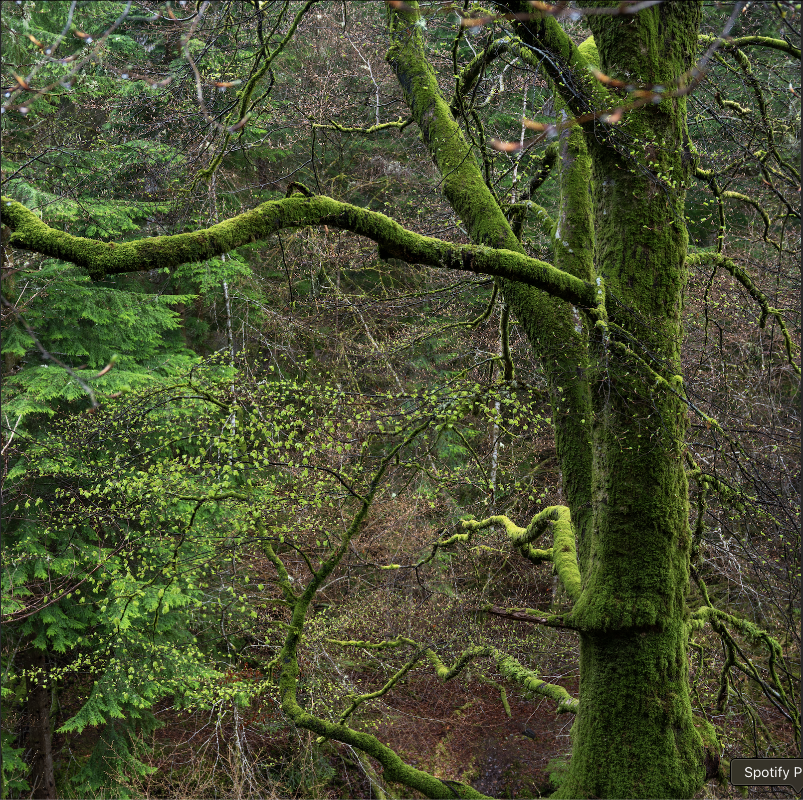 Screenshot 2026-01-27 at 20.02.11.png