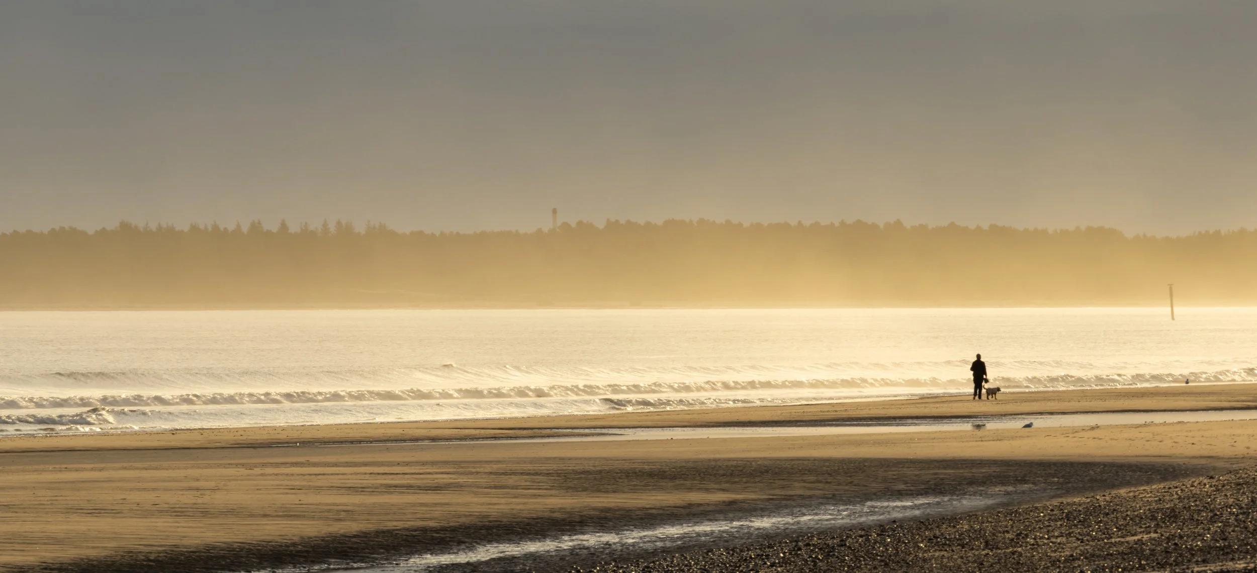 Early morning walk - Findhorn Beach, Moray