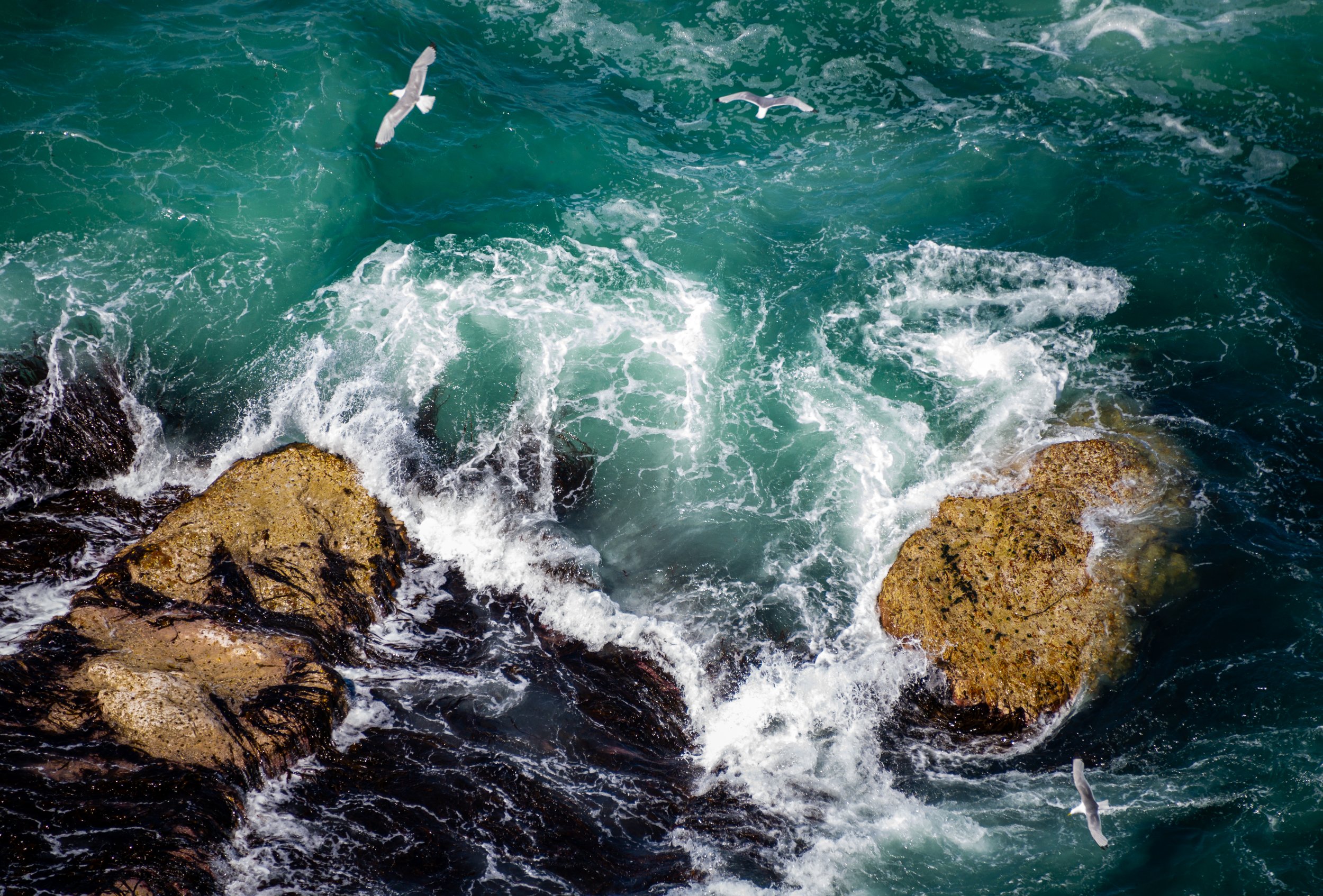 Love heart waves - Troup Head, Aberdeenshire