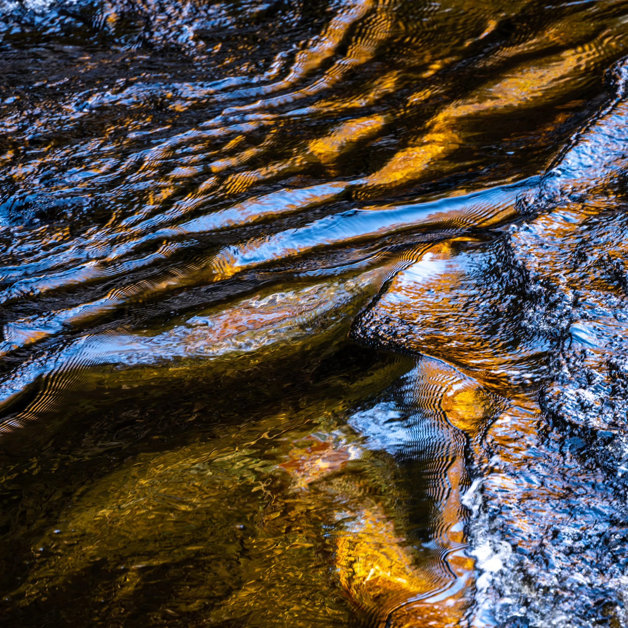 Randolphs River Findhorn-15.jpg