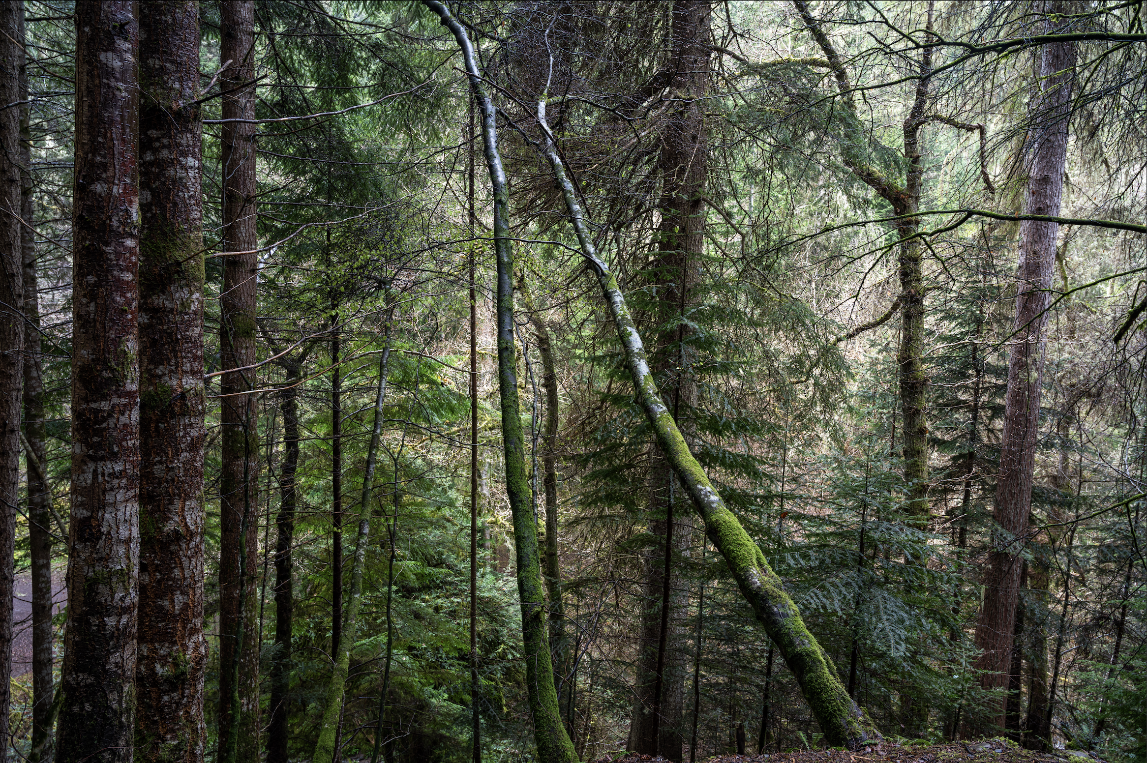 Screenshot 2026-01-27 at 20.02.50.png