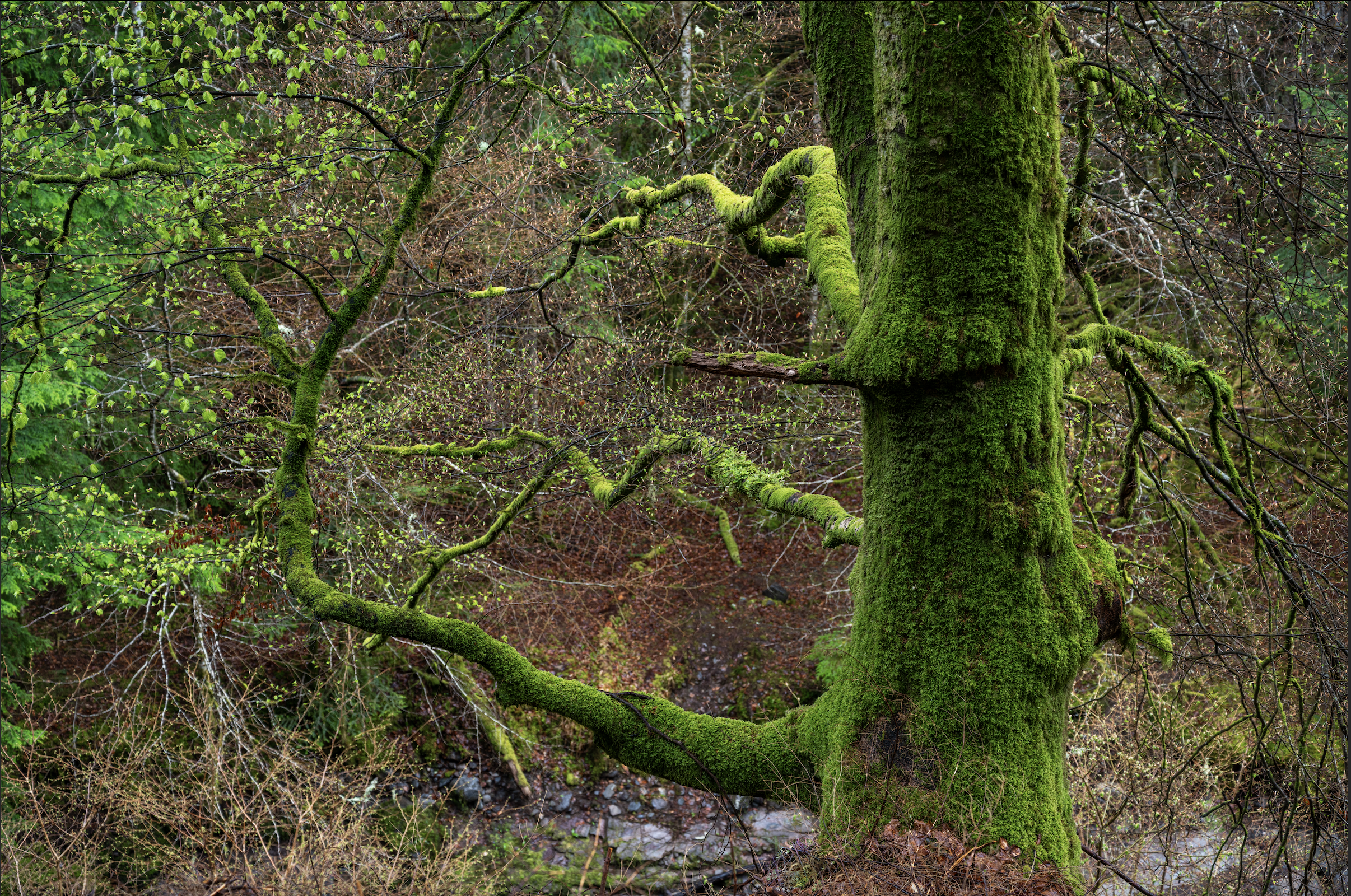 Screenshot 2026-01-27 at 20.02.22.png