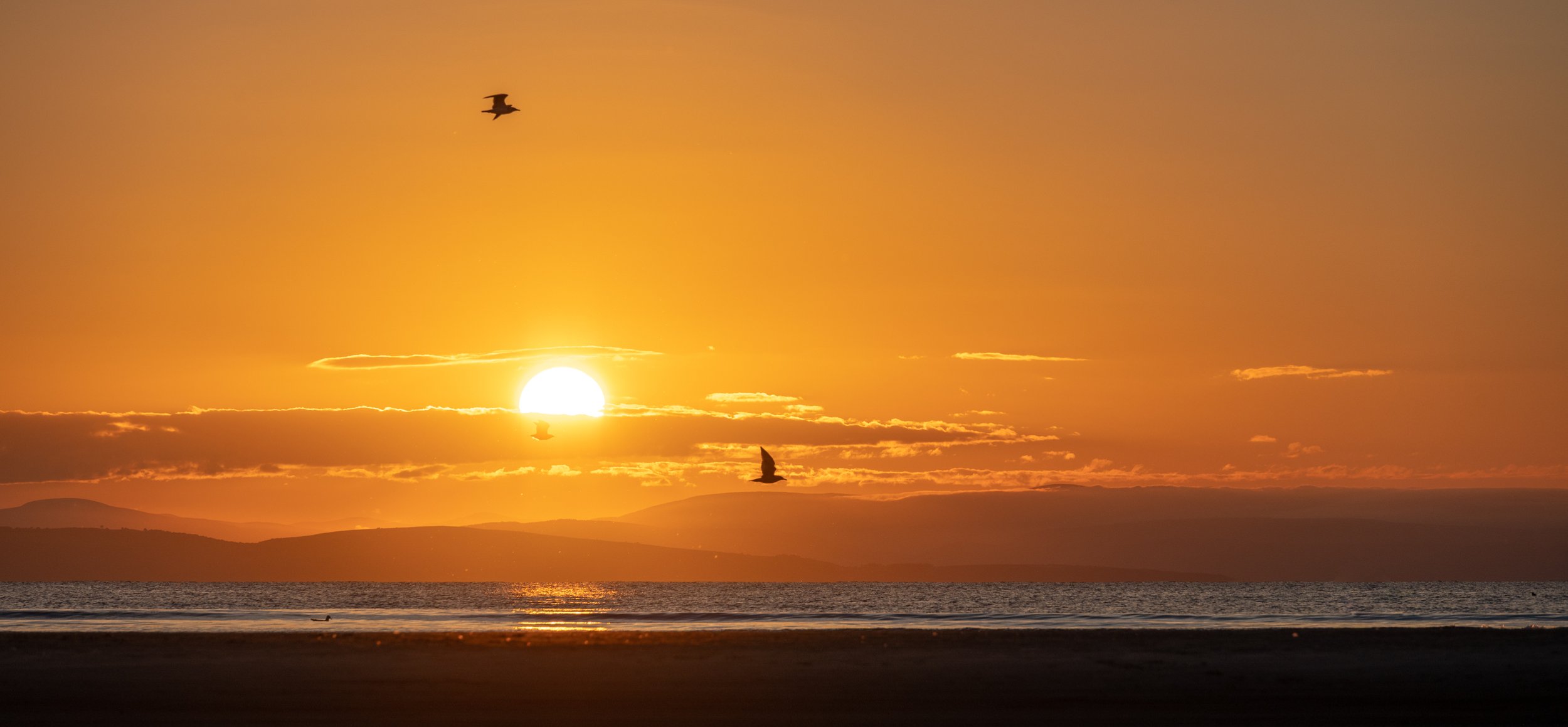 Sunset over the ocean with a few clouds and three seagulls flying in the sky.