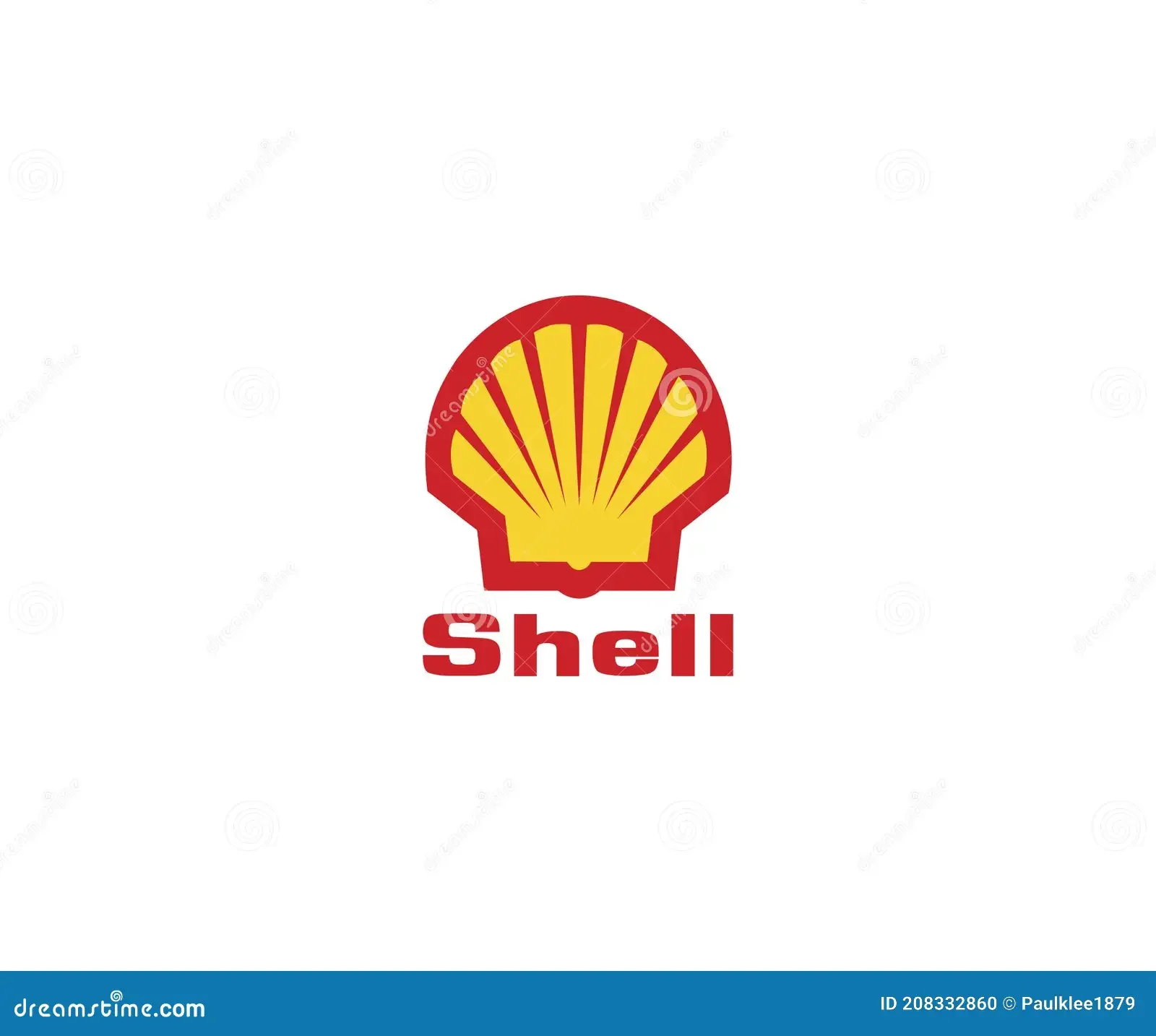 1 shell.webp