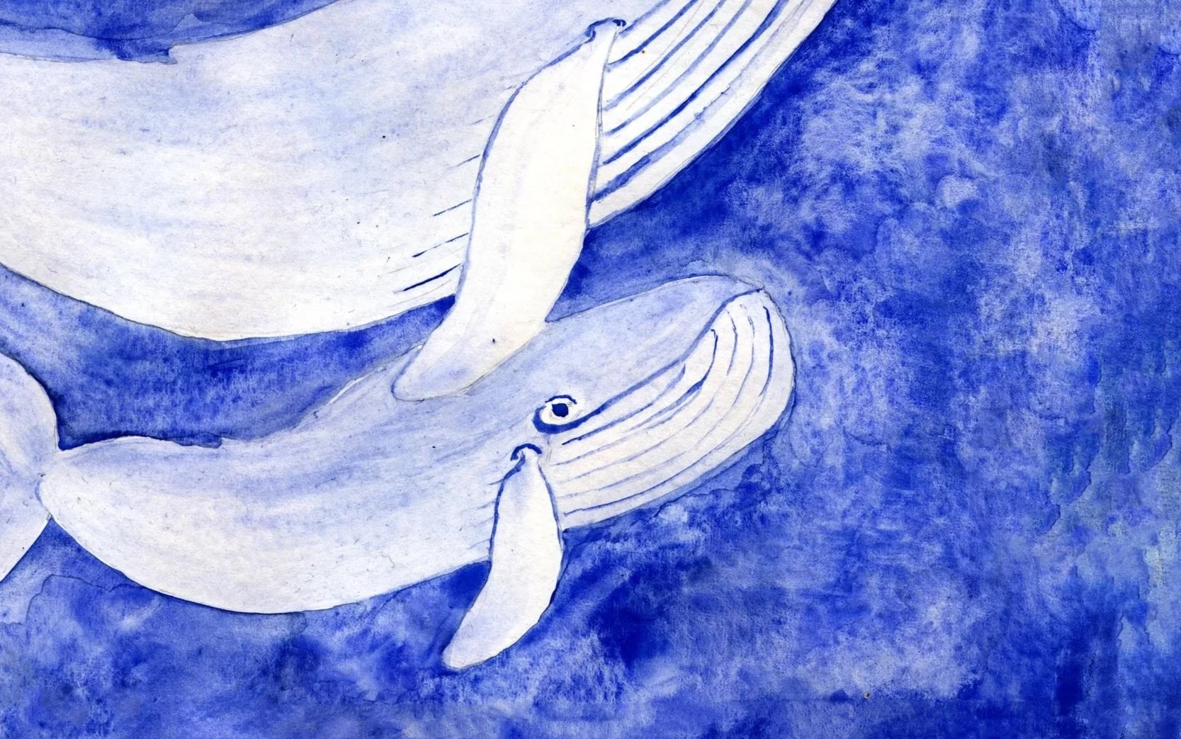 46-47+Whale.jpg