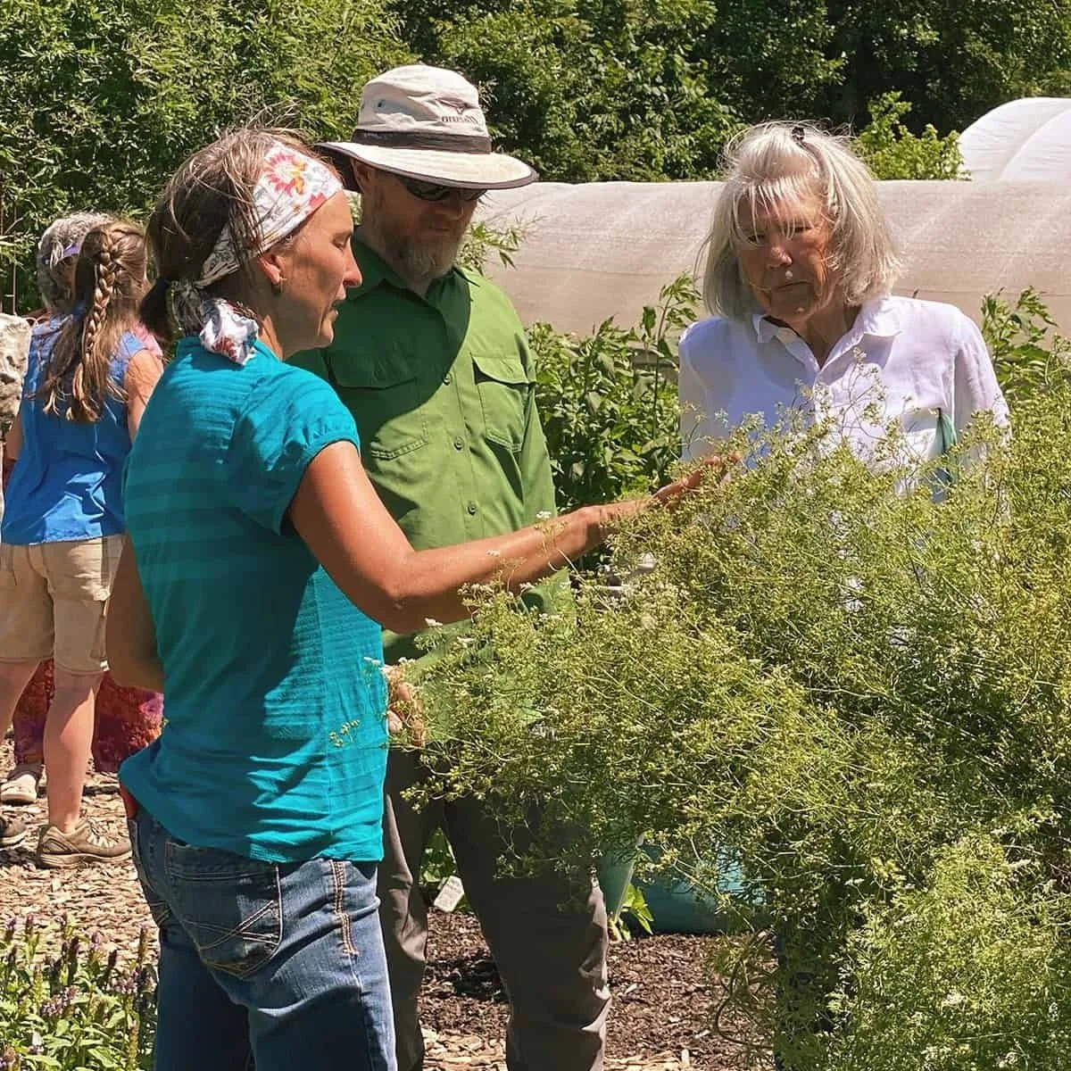 three+people+inspecting+a+plant+in+the+medicinal+garden+at+rising+fawn+gardens.jpg