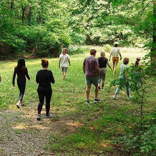 Forest Bathing at Rising Fawn Gardens