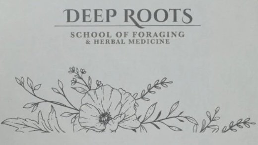 Foraging Workshop with Deep Roots School of Foraging and Herbal Medicine