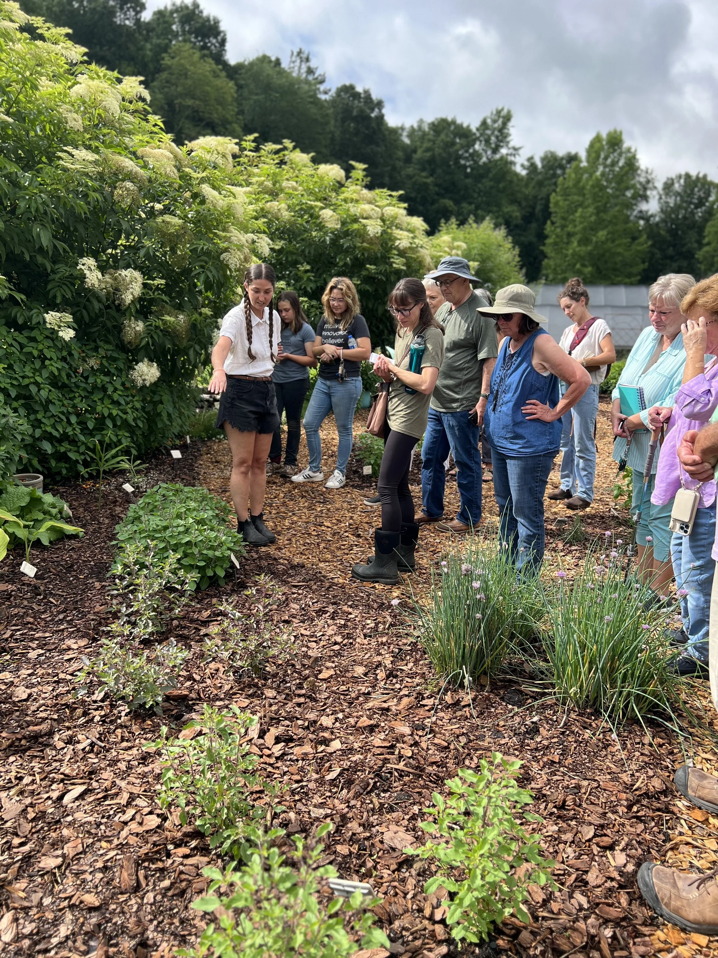Medicinal Garden Walk and Talk with Amanda Verkest of Oak Moon Botanicals