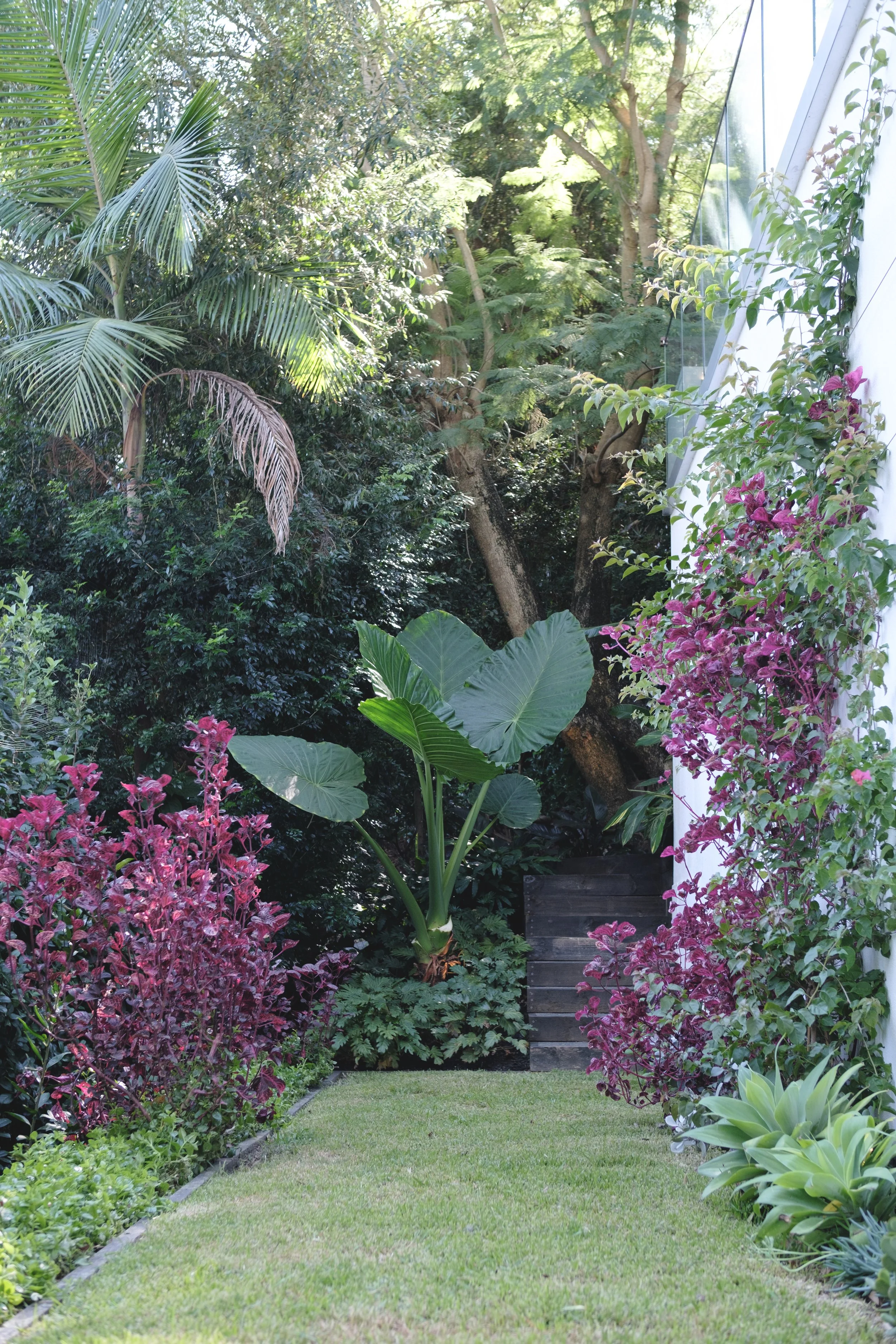 Plant Composition