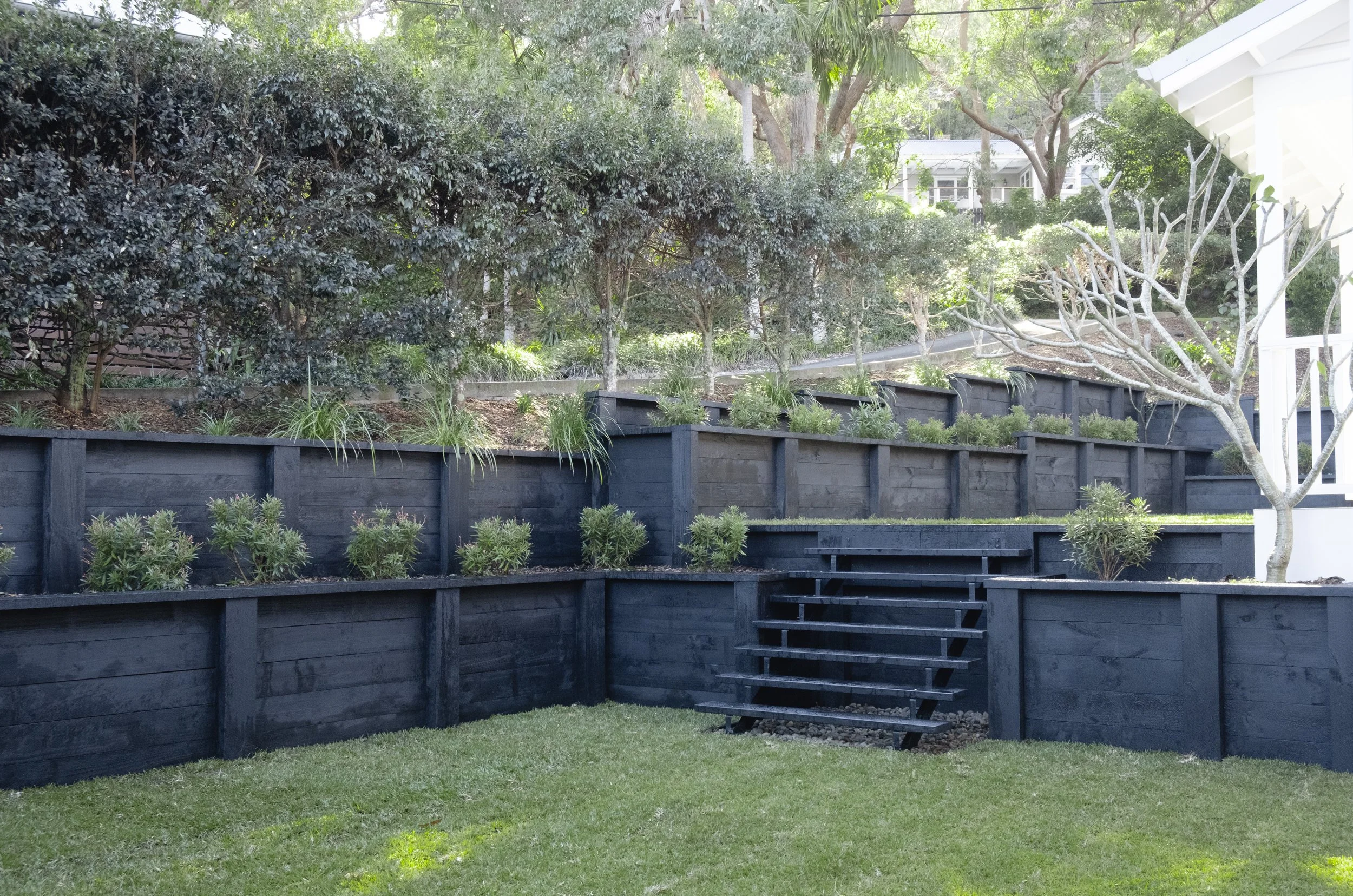 Back garden