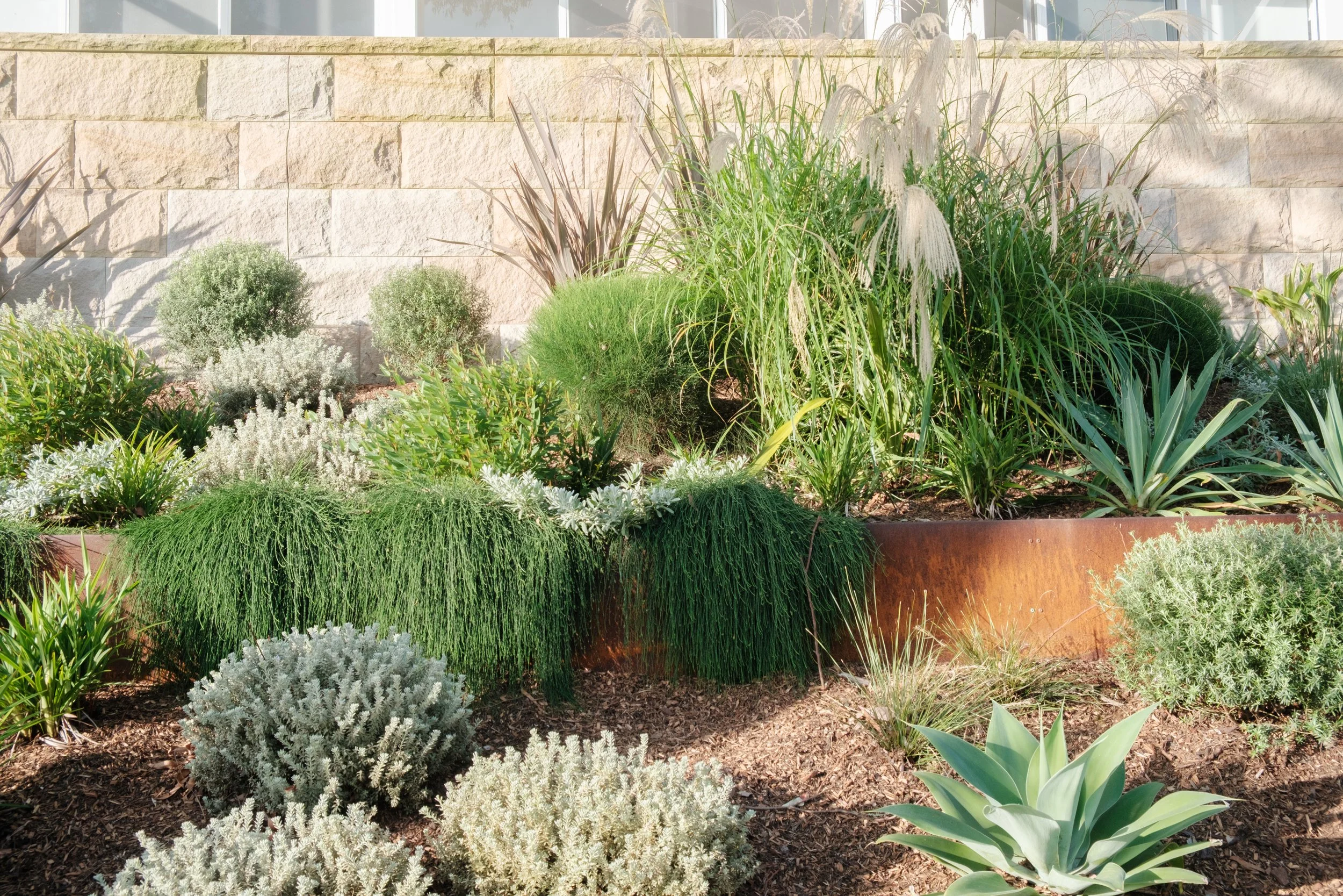 Plants Design