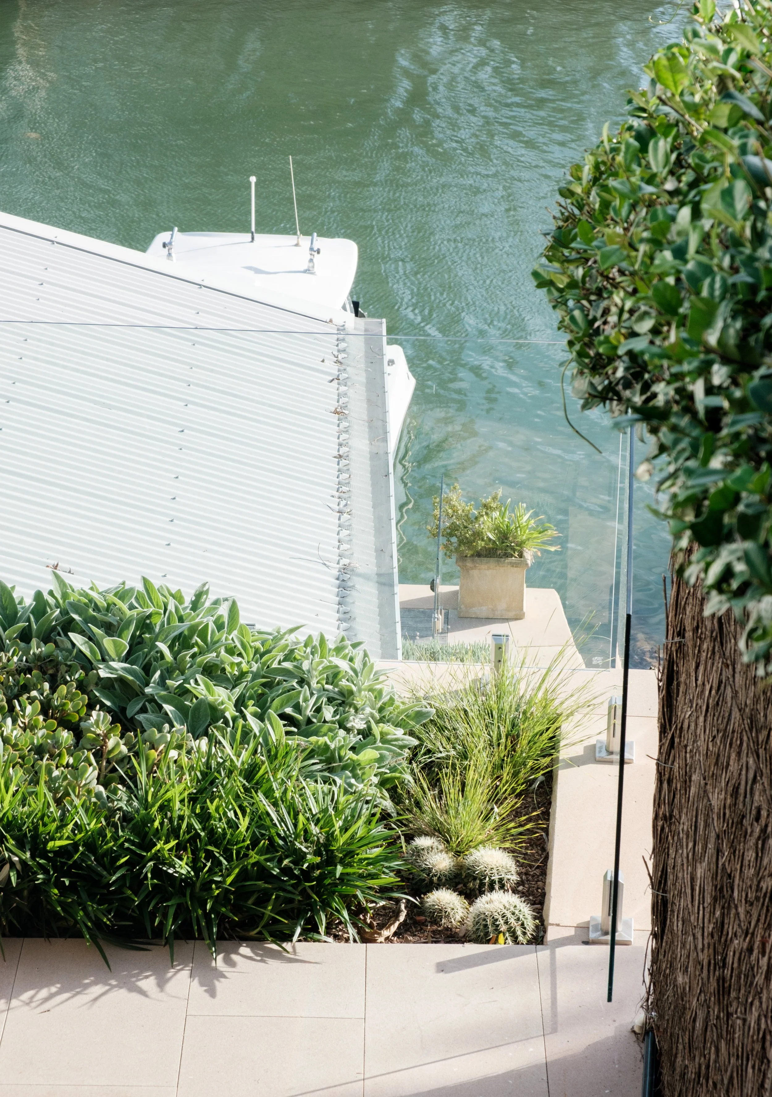 Garden Landscape