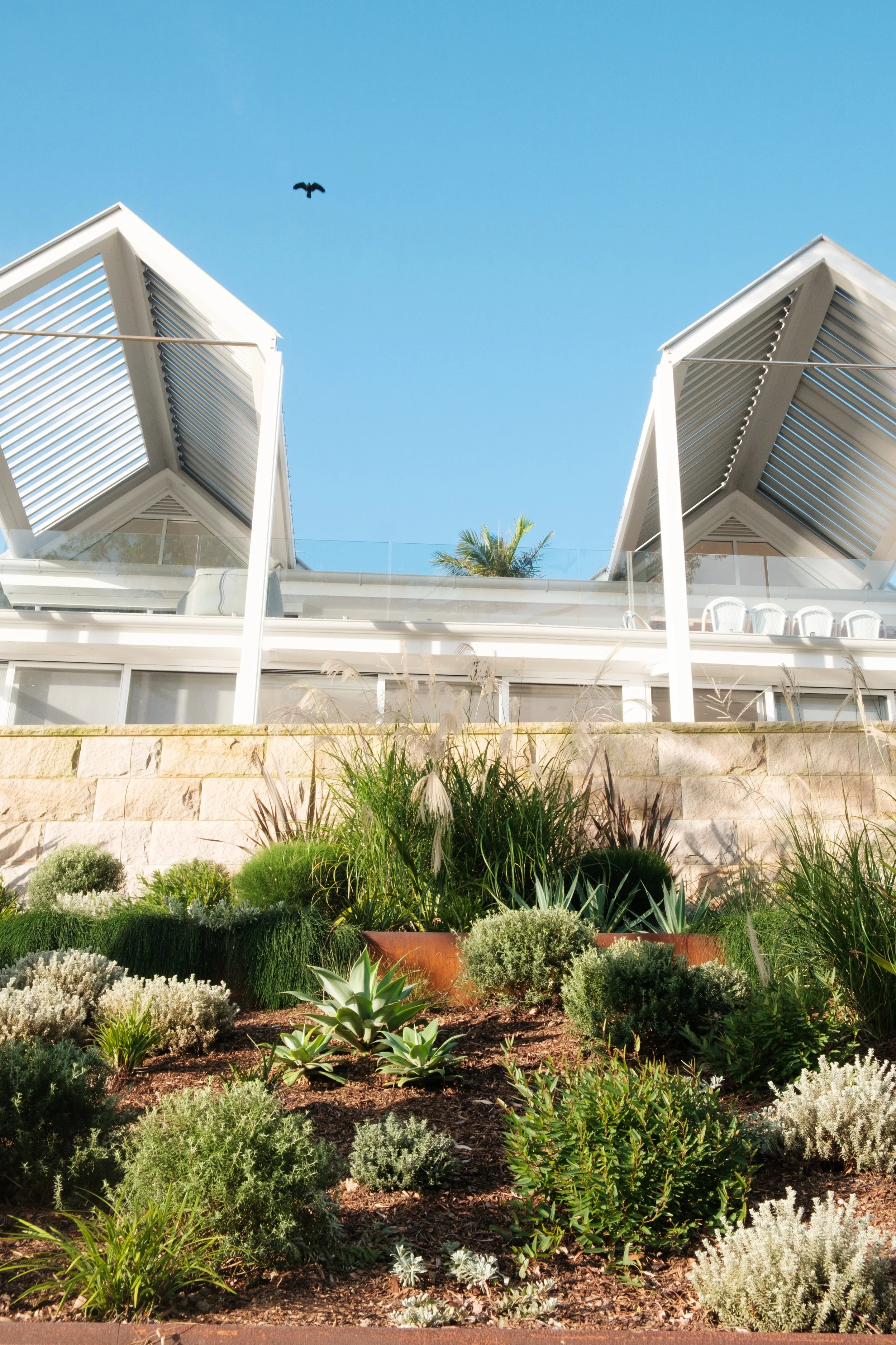 Garden Landscape