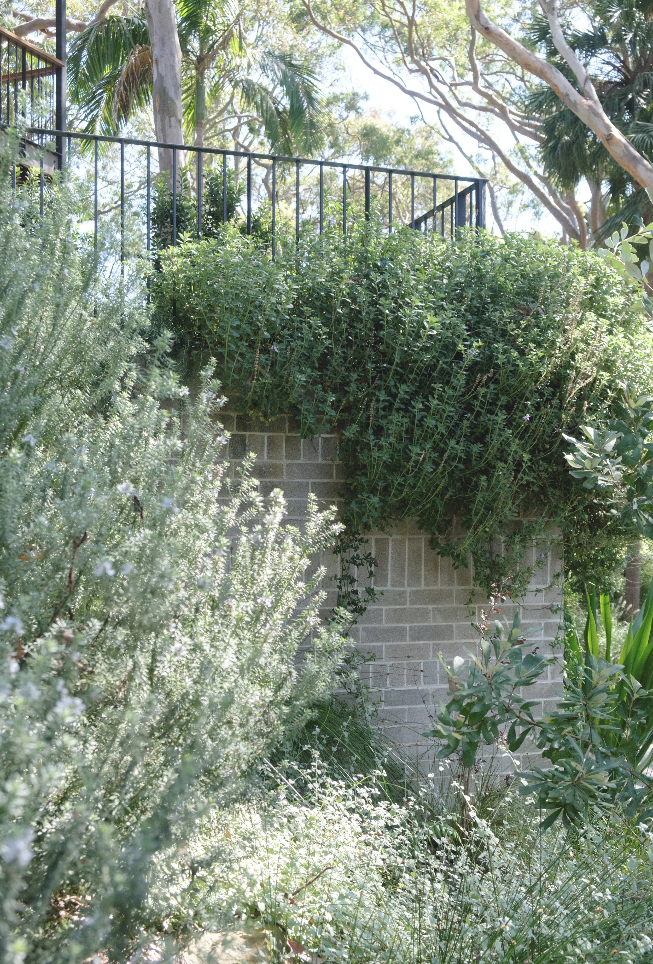 Plant Composition