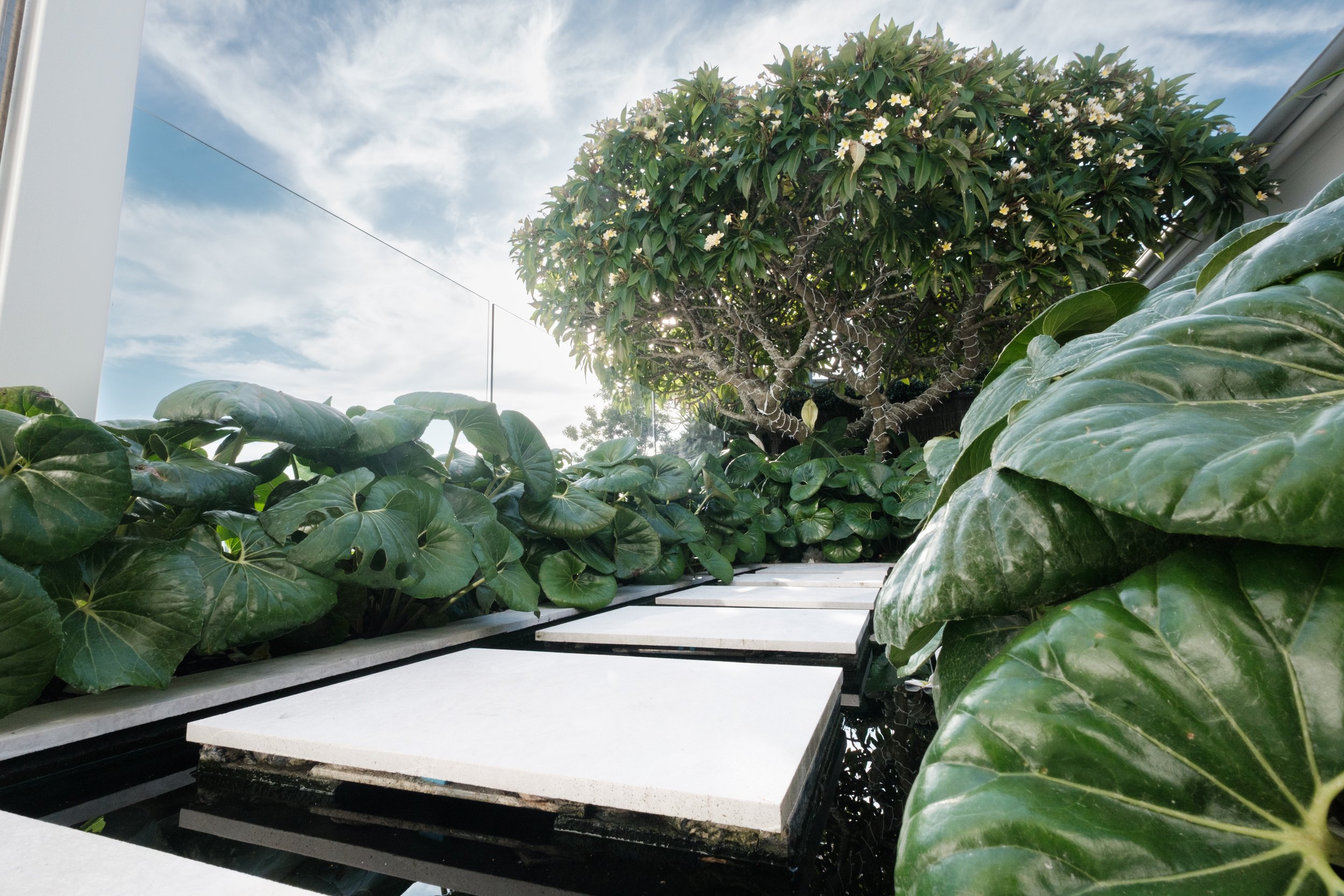 Garden Landscape