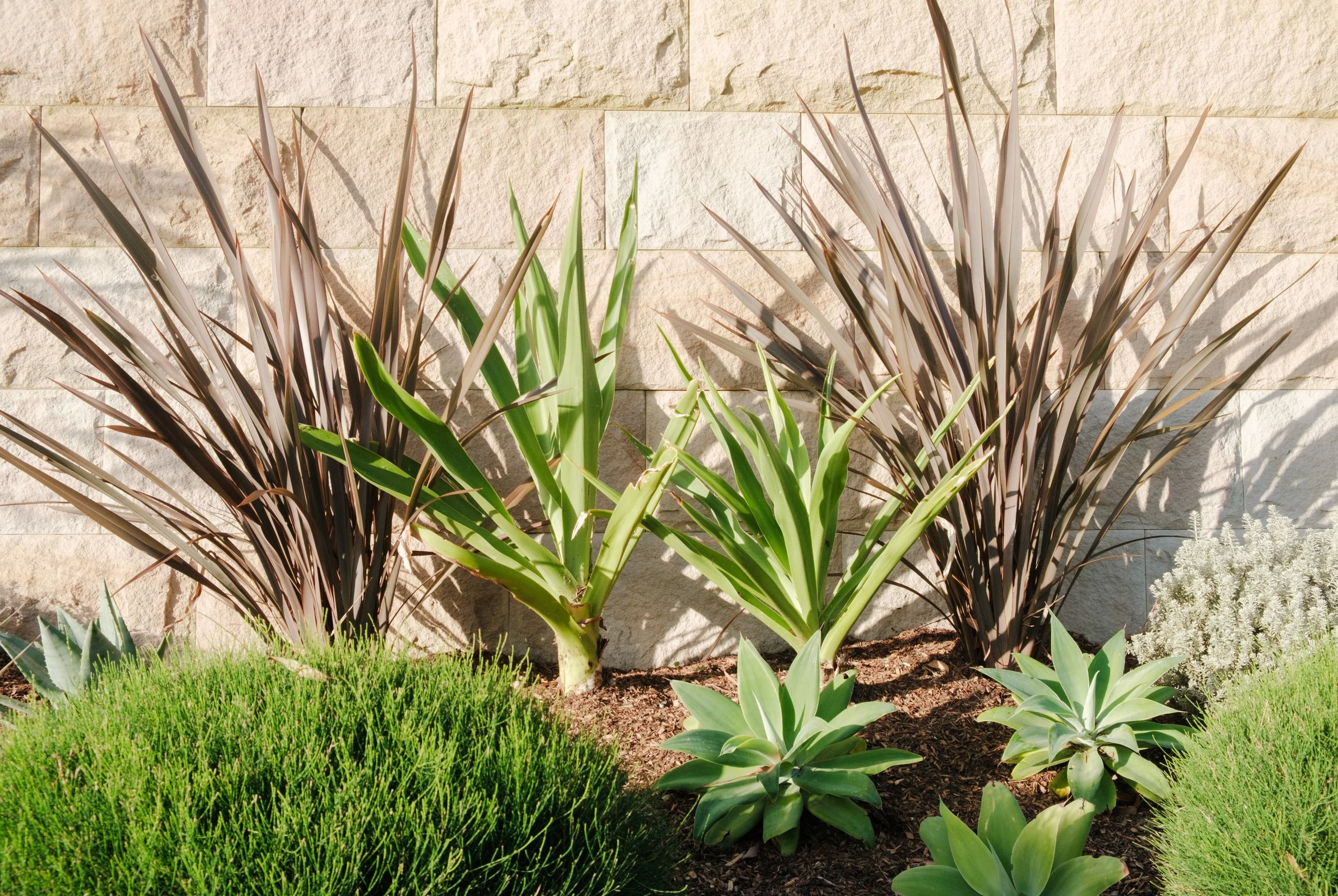 Plants Composition
