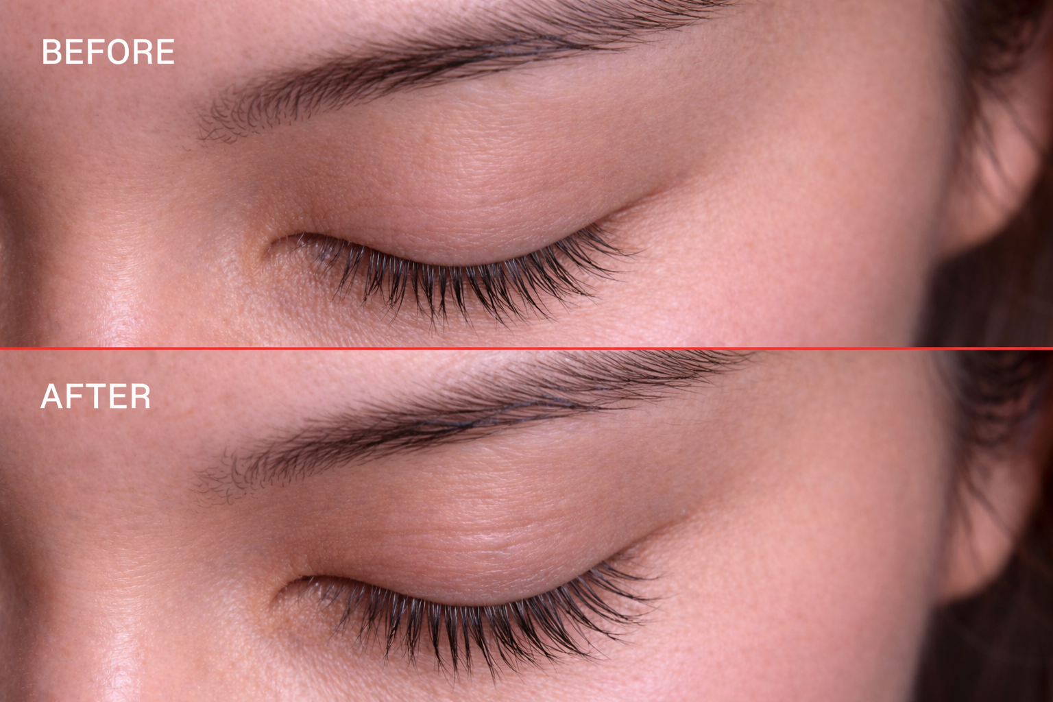 ChatGPT Image Mar 20, 2026, 12_27_31 AM.png (⁠コピ⁠ー⁠)