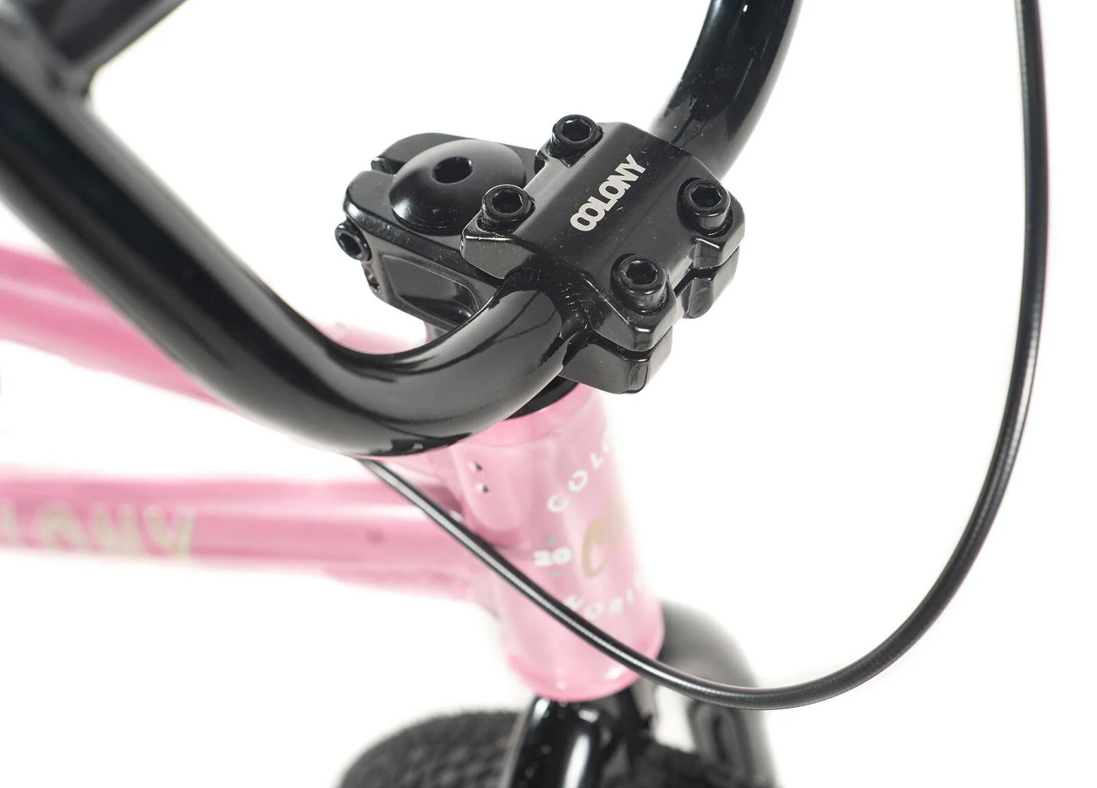 Horizon Pink 3.jpg