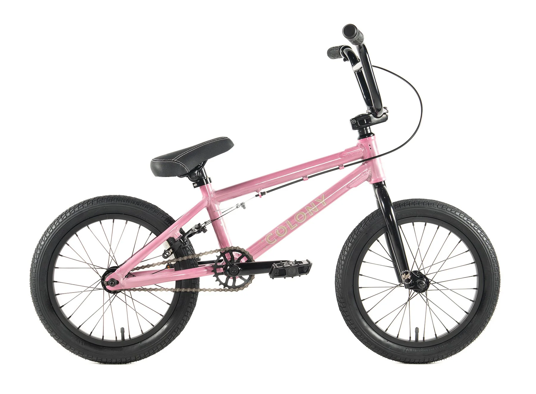 Horizon Pink 2.jpg