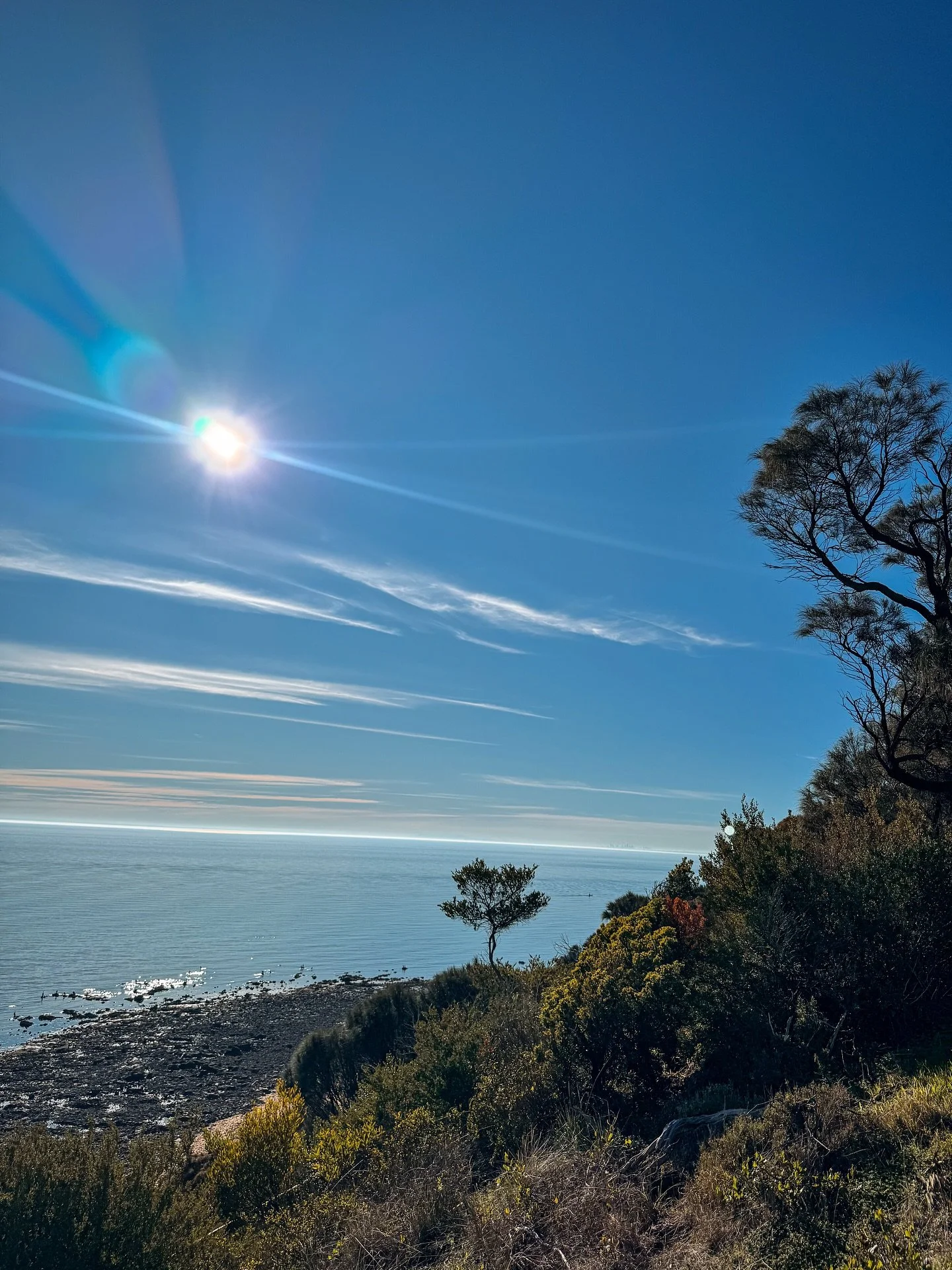 From the north to the south, the Peninsula&rsquo;s coastline is beautifully varied..

#morningtonpeninsula #coastline #explorevictoria #holidayathome #explorelocal #localtourism #sorrento #mounteliza