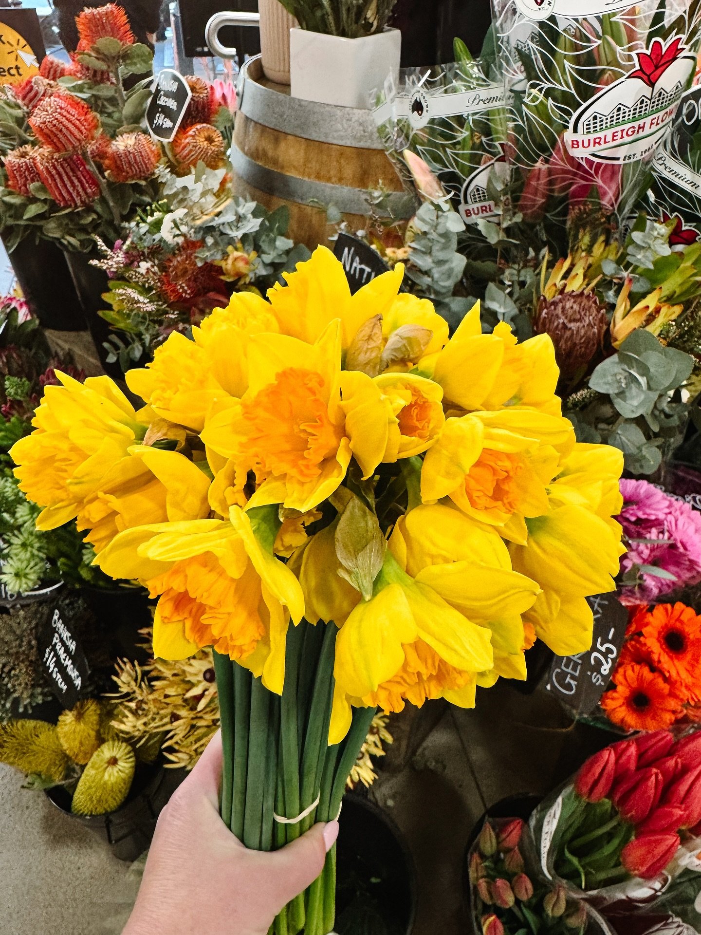 It&rsquo;s Daffodil Day today, so in honour of my Mum and all who have been affected by cancer, I&rsquo;ve picked up some daffodils from @villagefruits for the team at work.

If you can spare a few dollars today, please consider making a donation to 