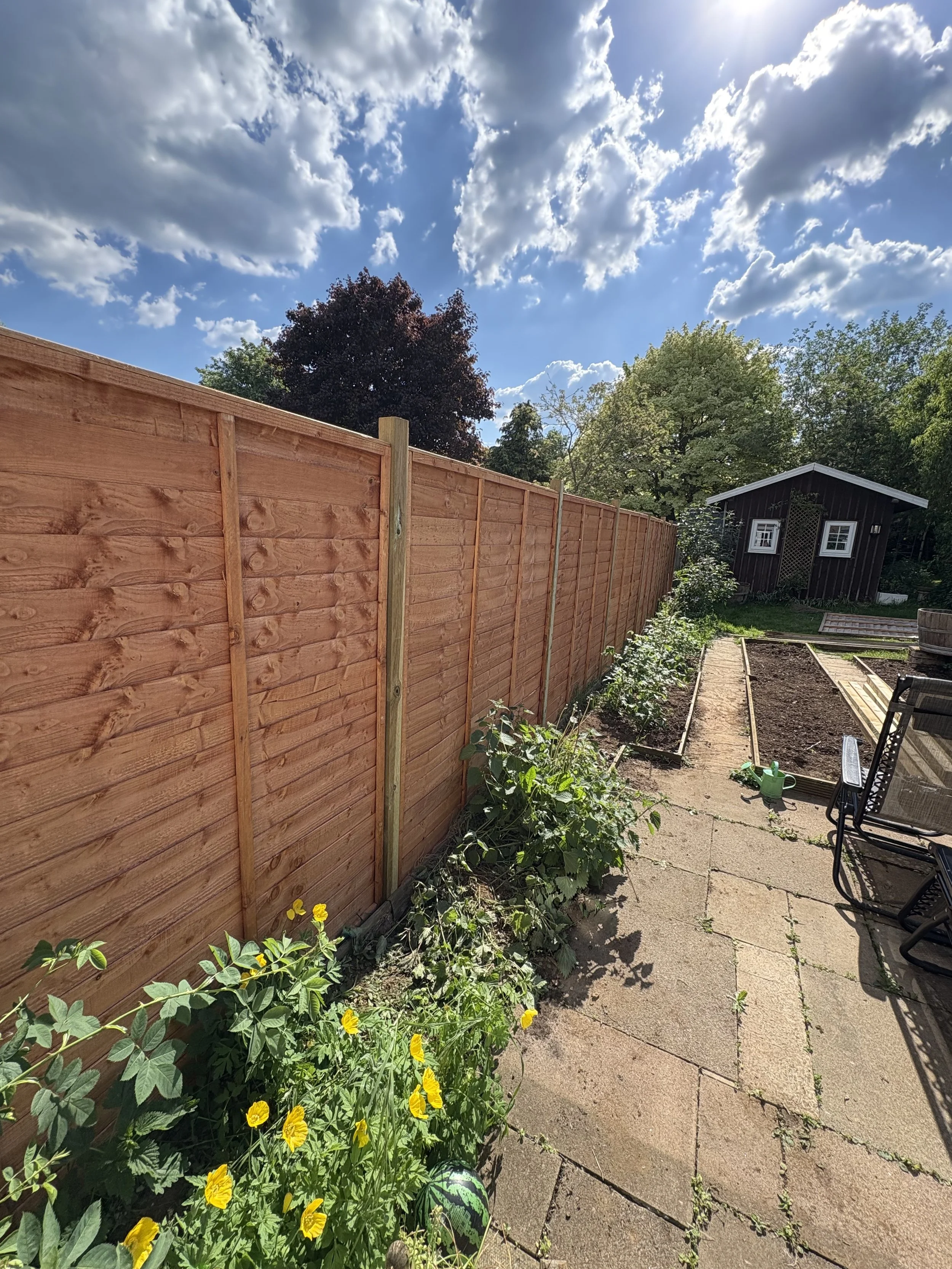 A backyard patio with a newly built wooden fence, garden plants, and a small shed under a partly cloudy sky.