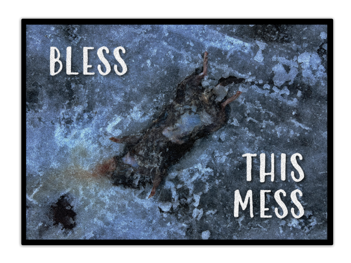blessthismess.png